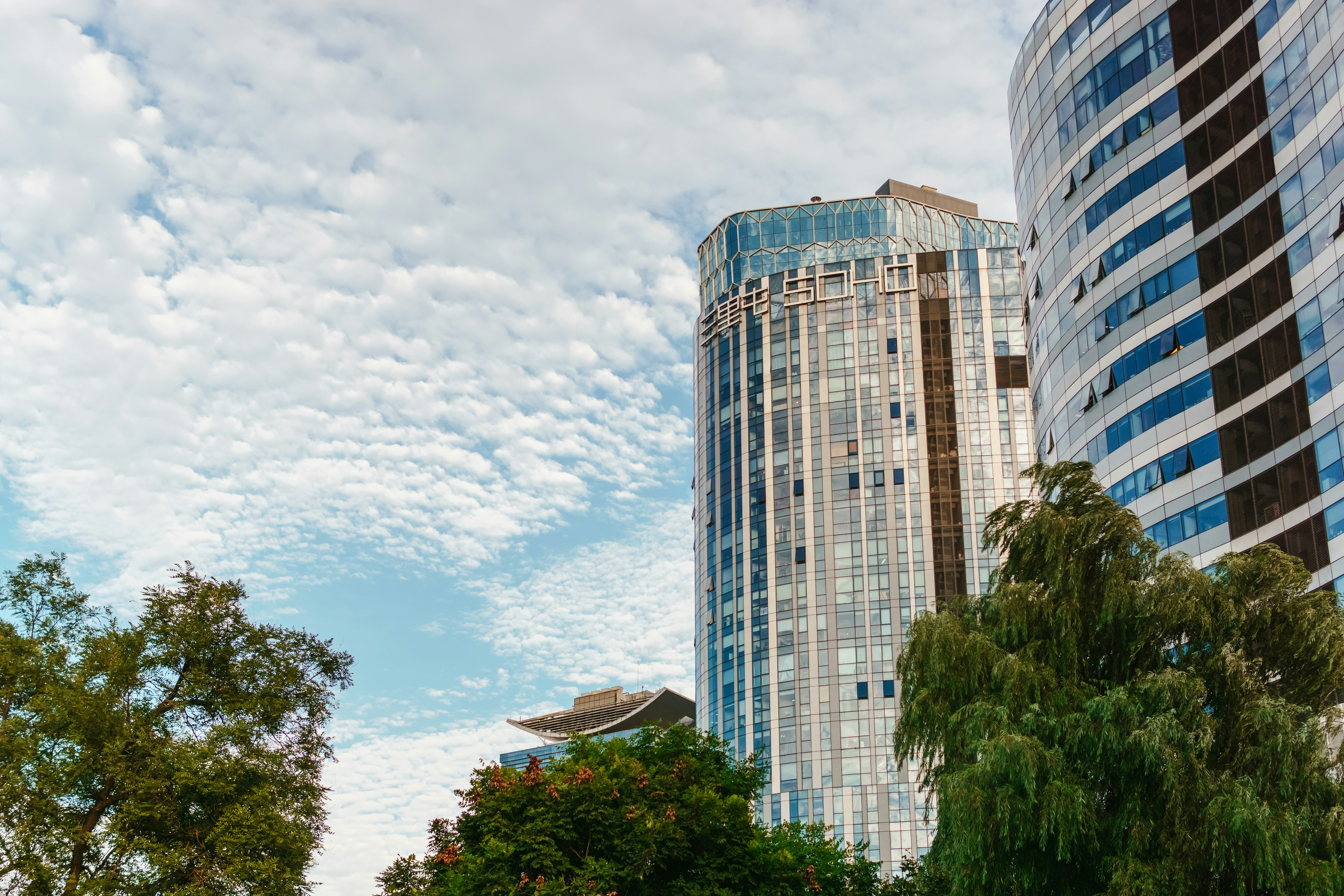 Photo by igorharrier