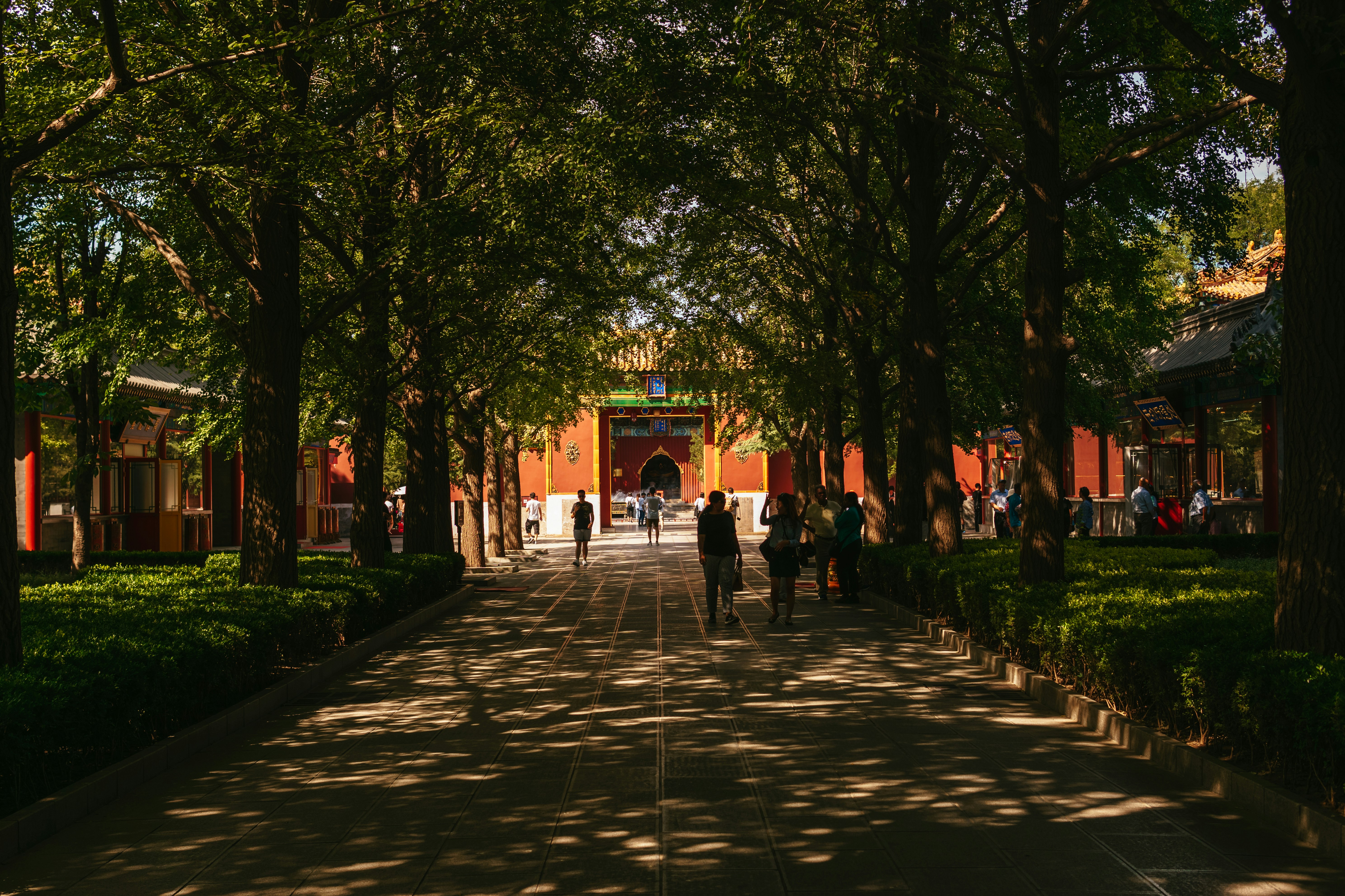 大學生不告訴你的秘密！這技能讓你畢業即戰力爆棚！