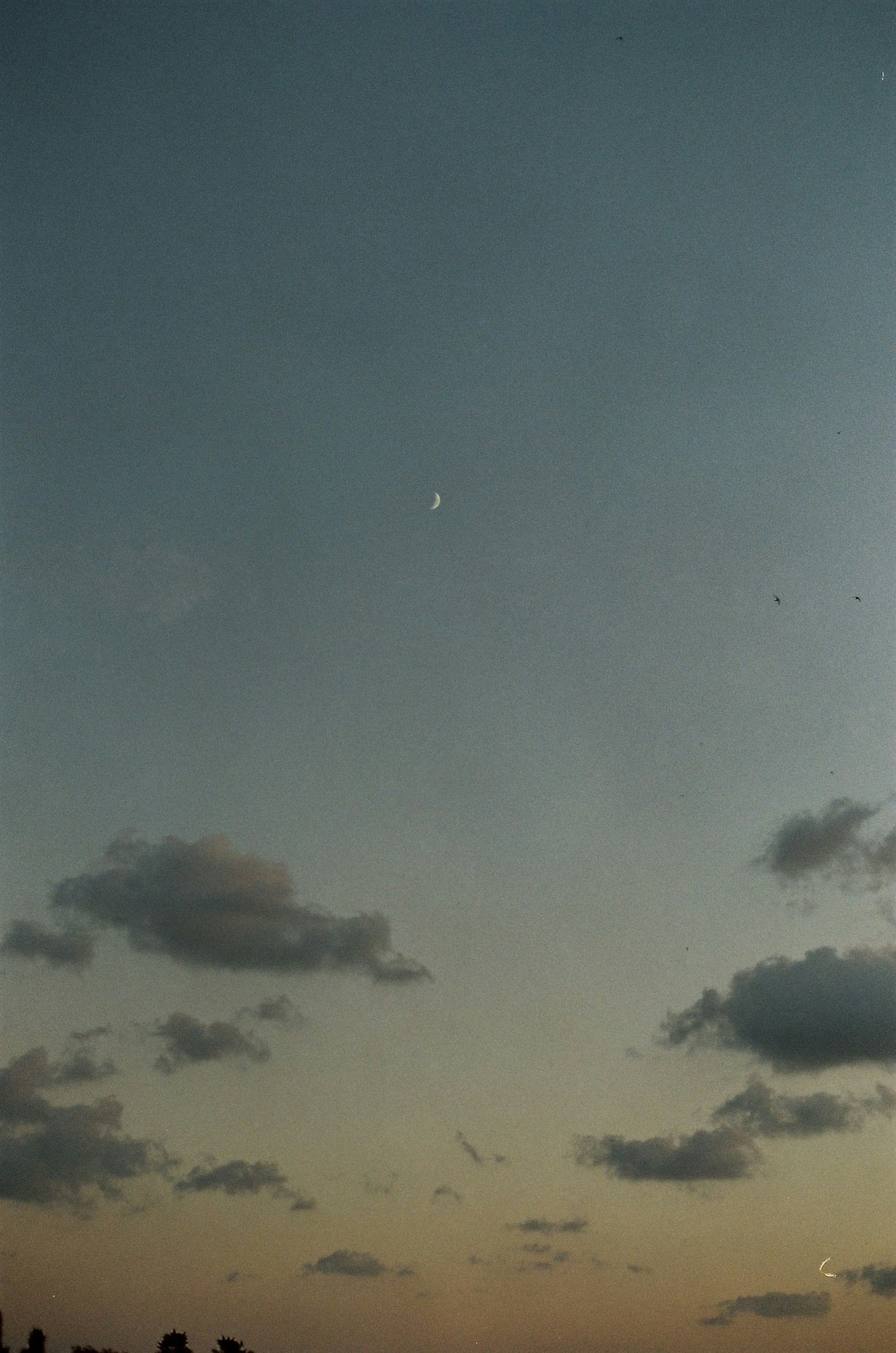 Photo by burcubircan