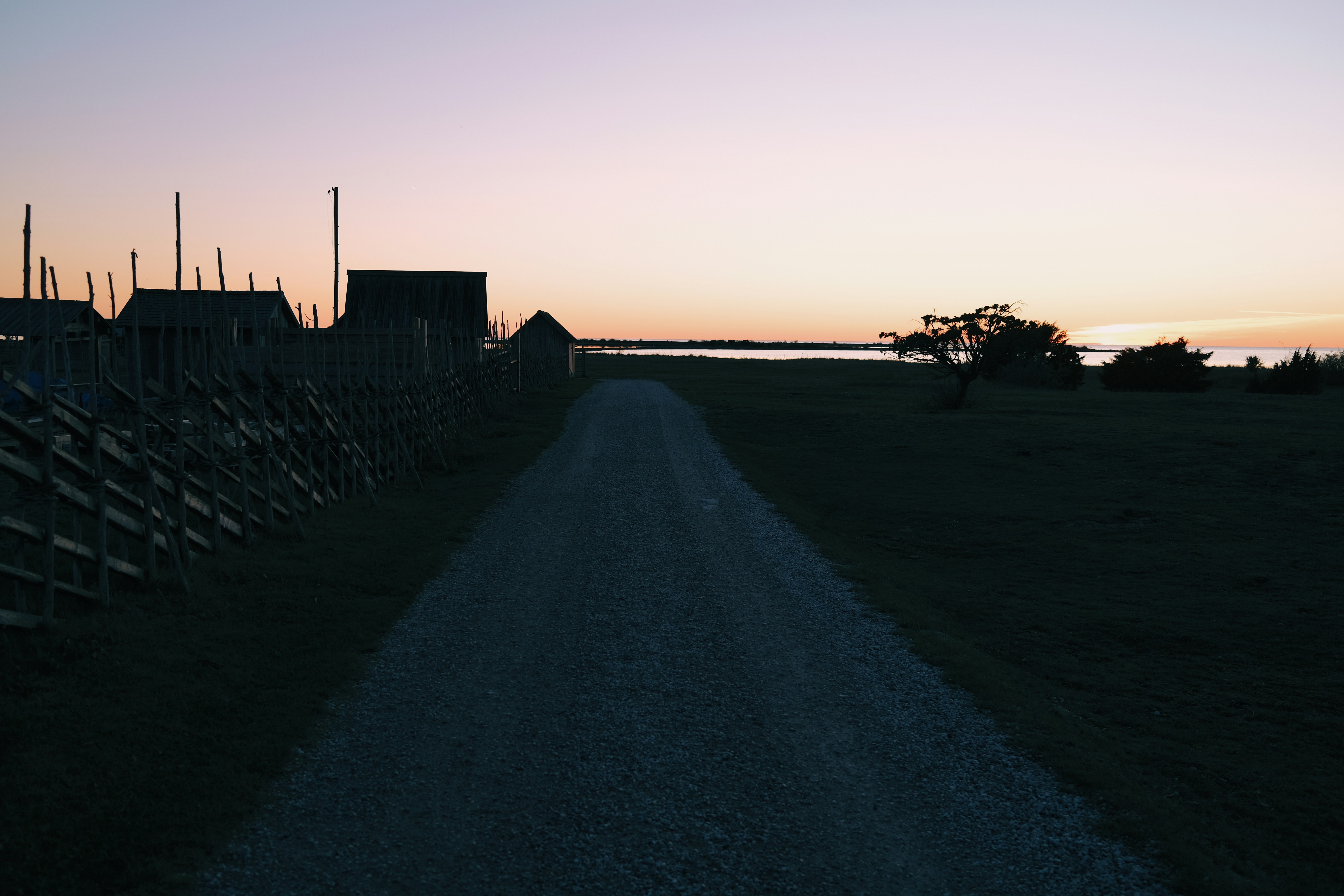 Photo by magnusjonasson