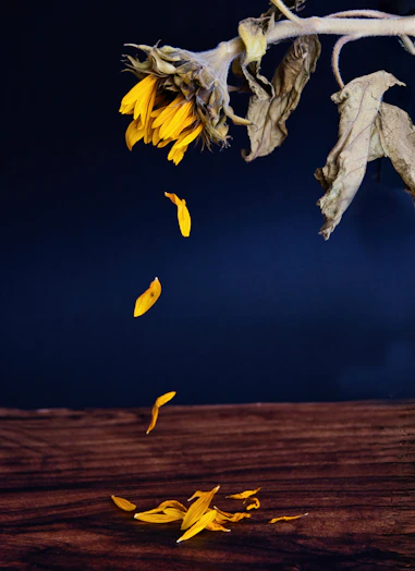 A vase filled with yellow flowers on top of a wooden table
