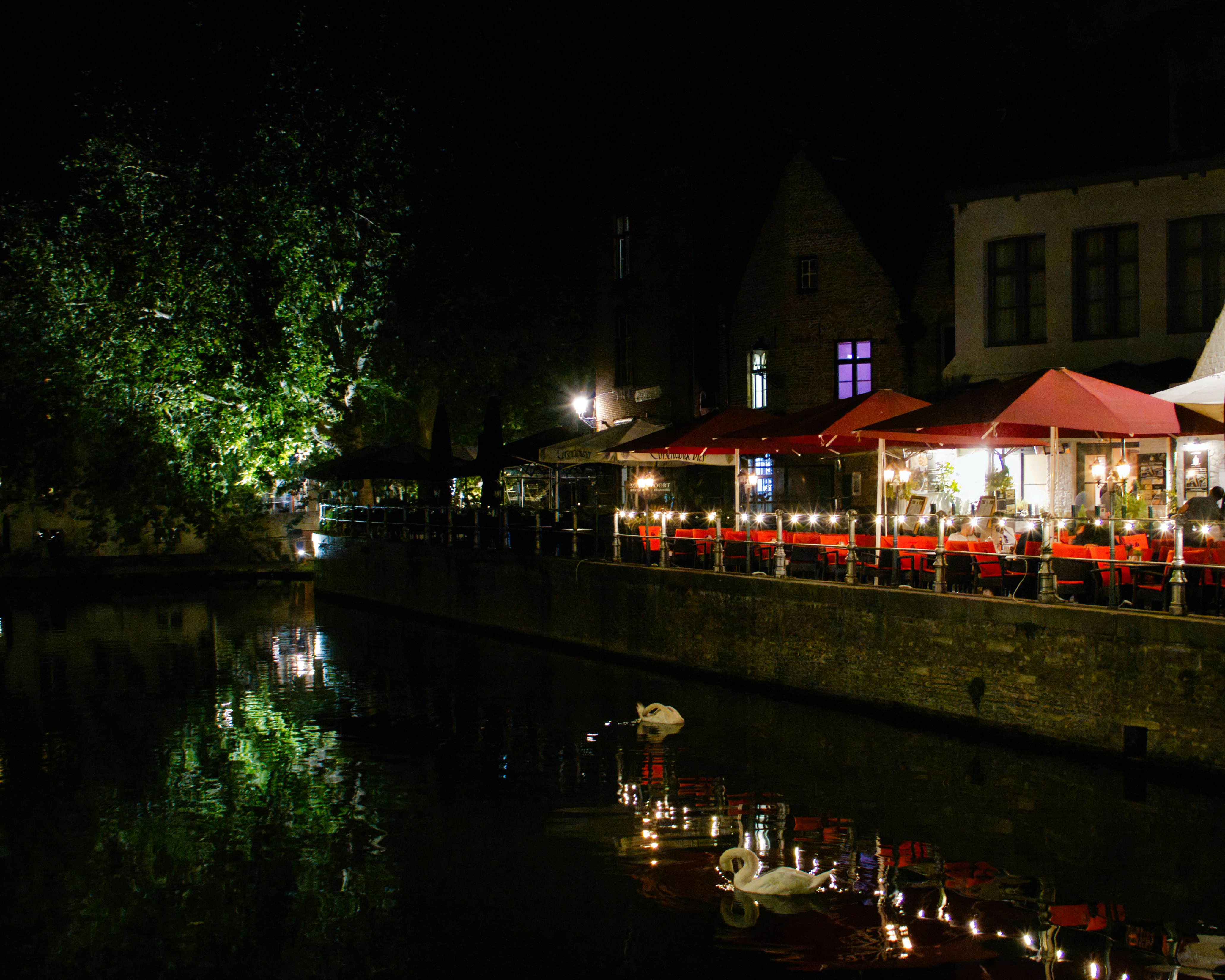 Photo by torben_gettermann