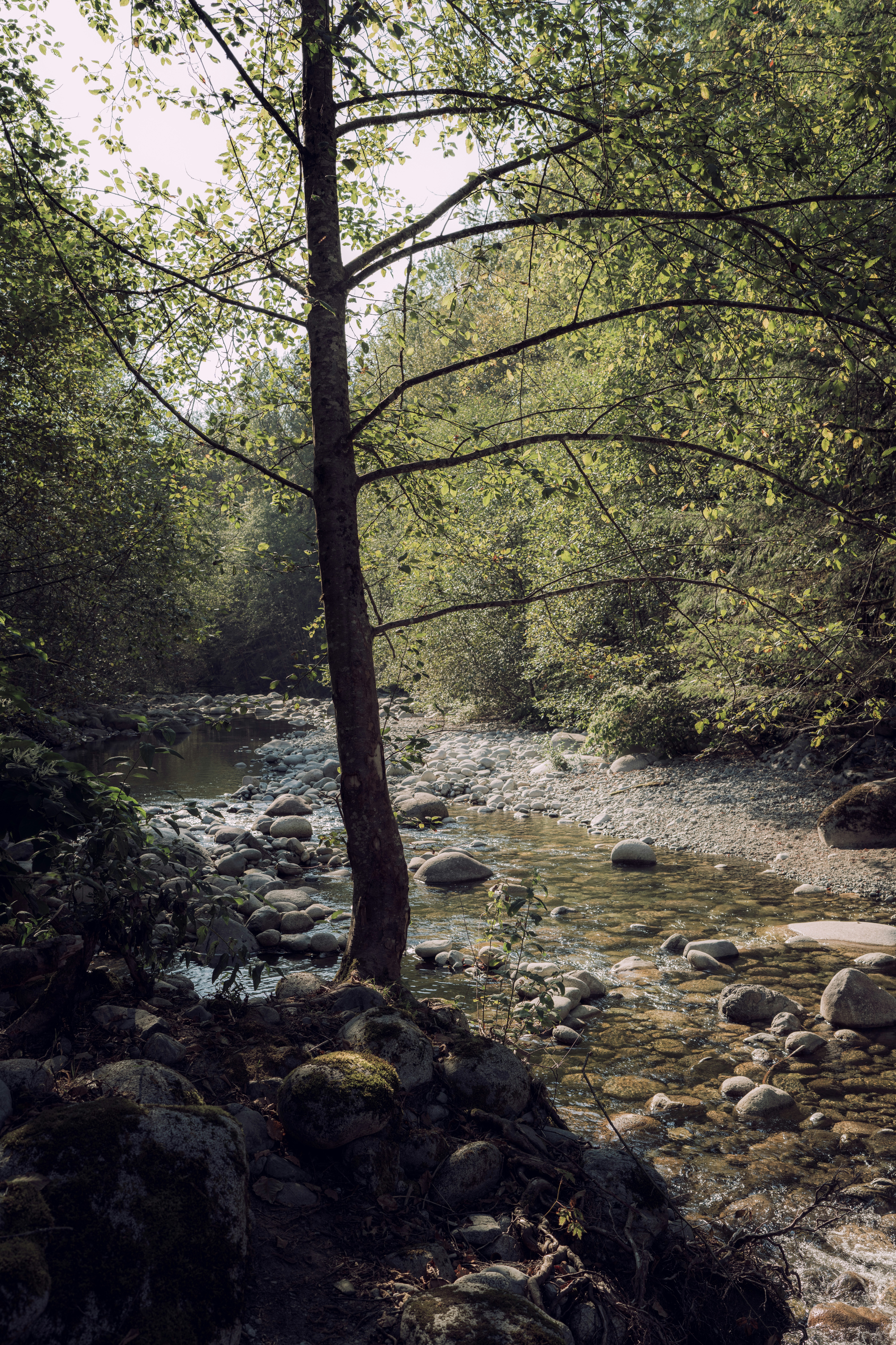 Photo by arianmontazeri