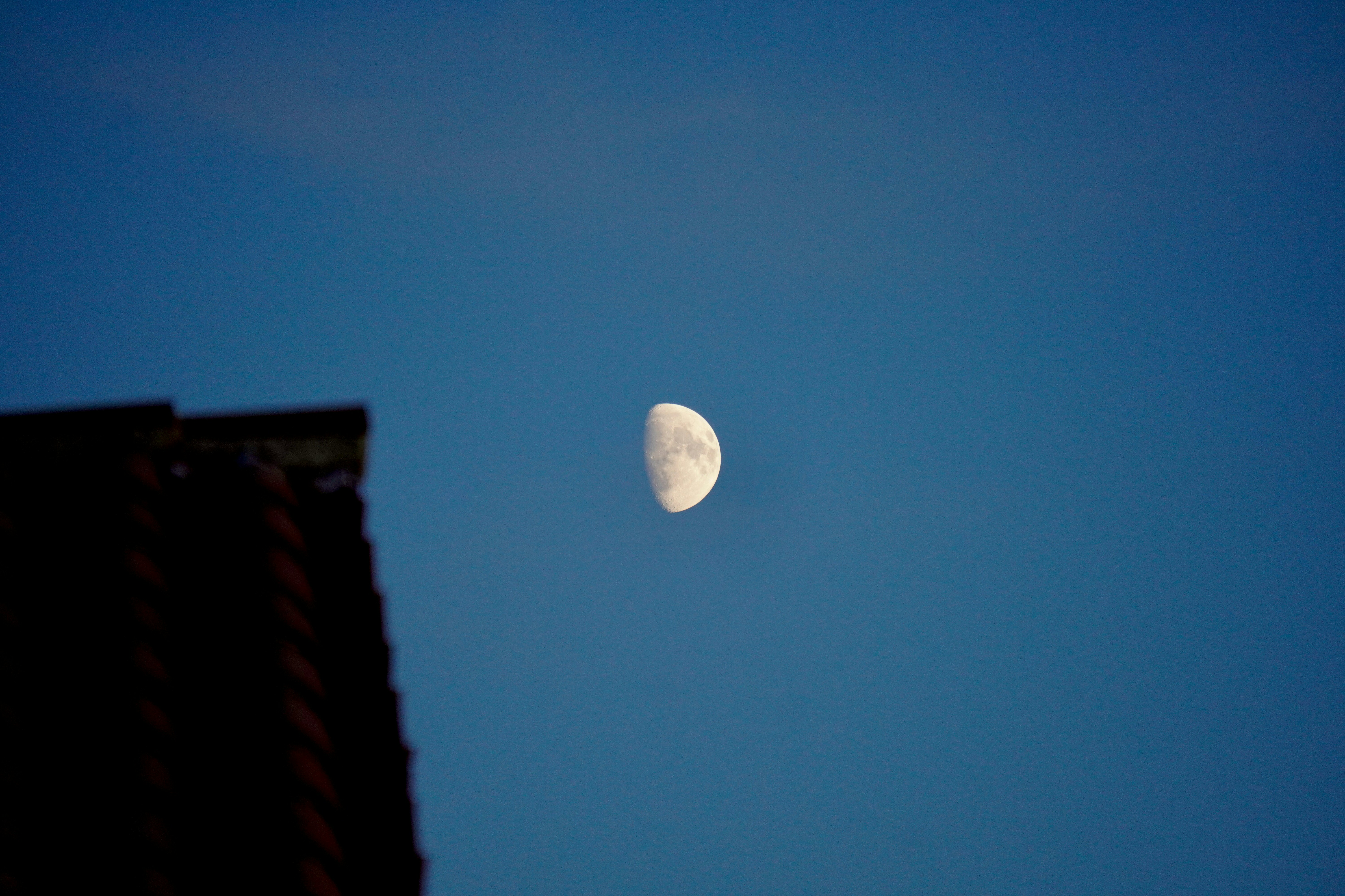 Photo by peterburdon