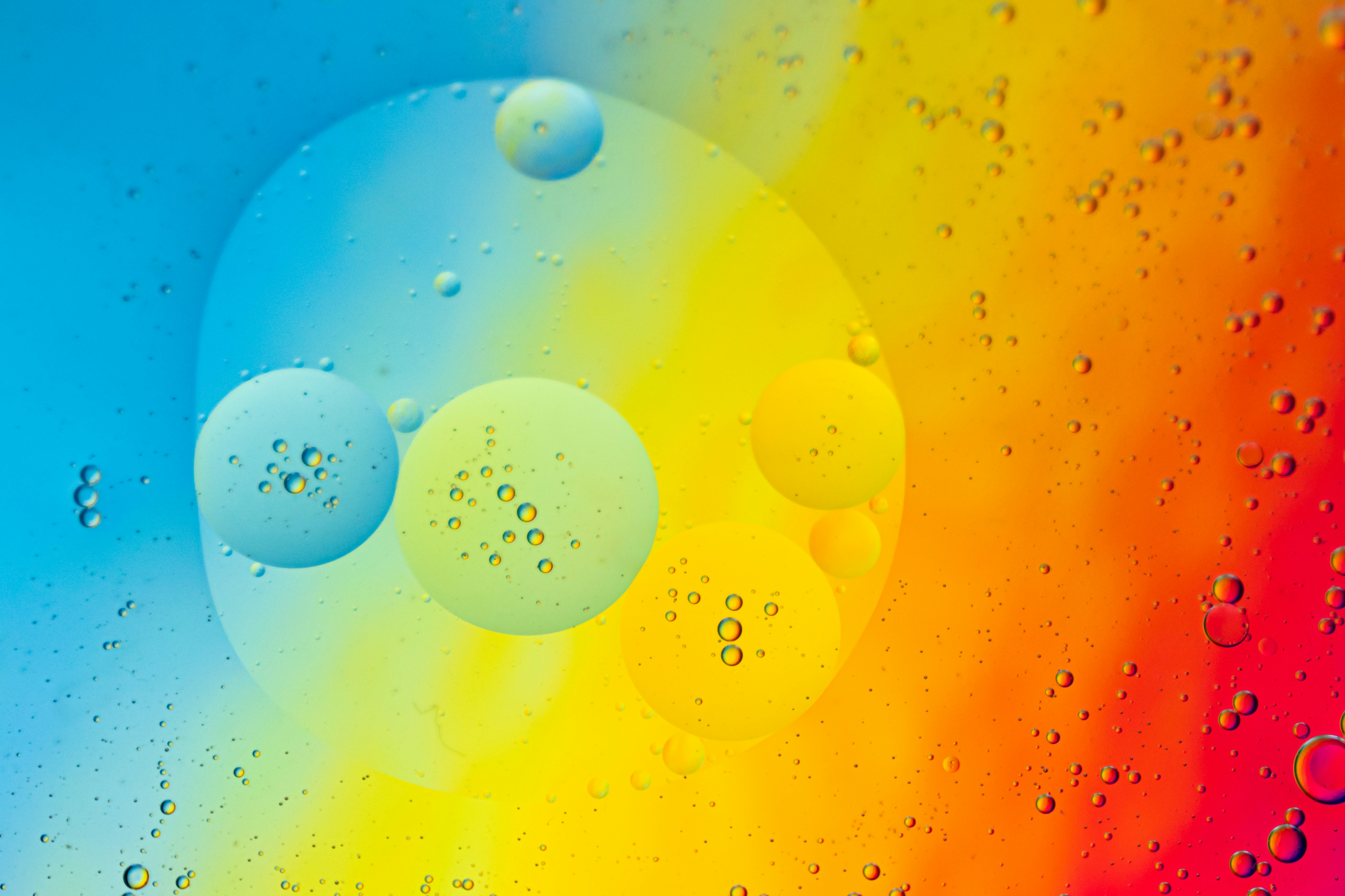 Photo by niki_emmert