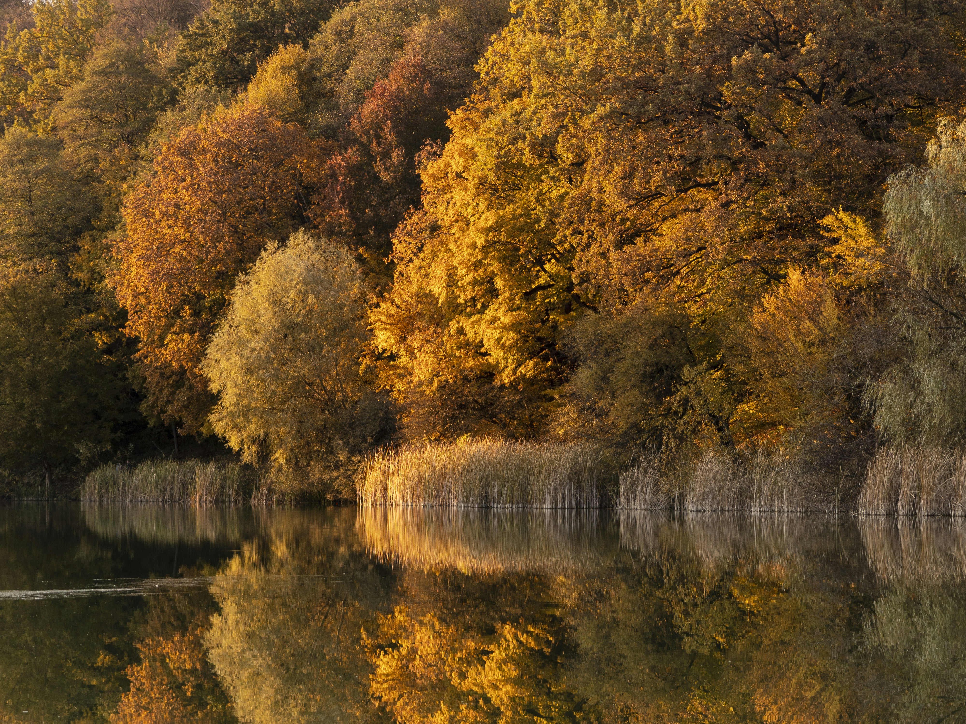 Photo by uin84917798