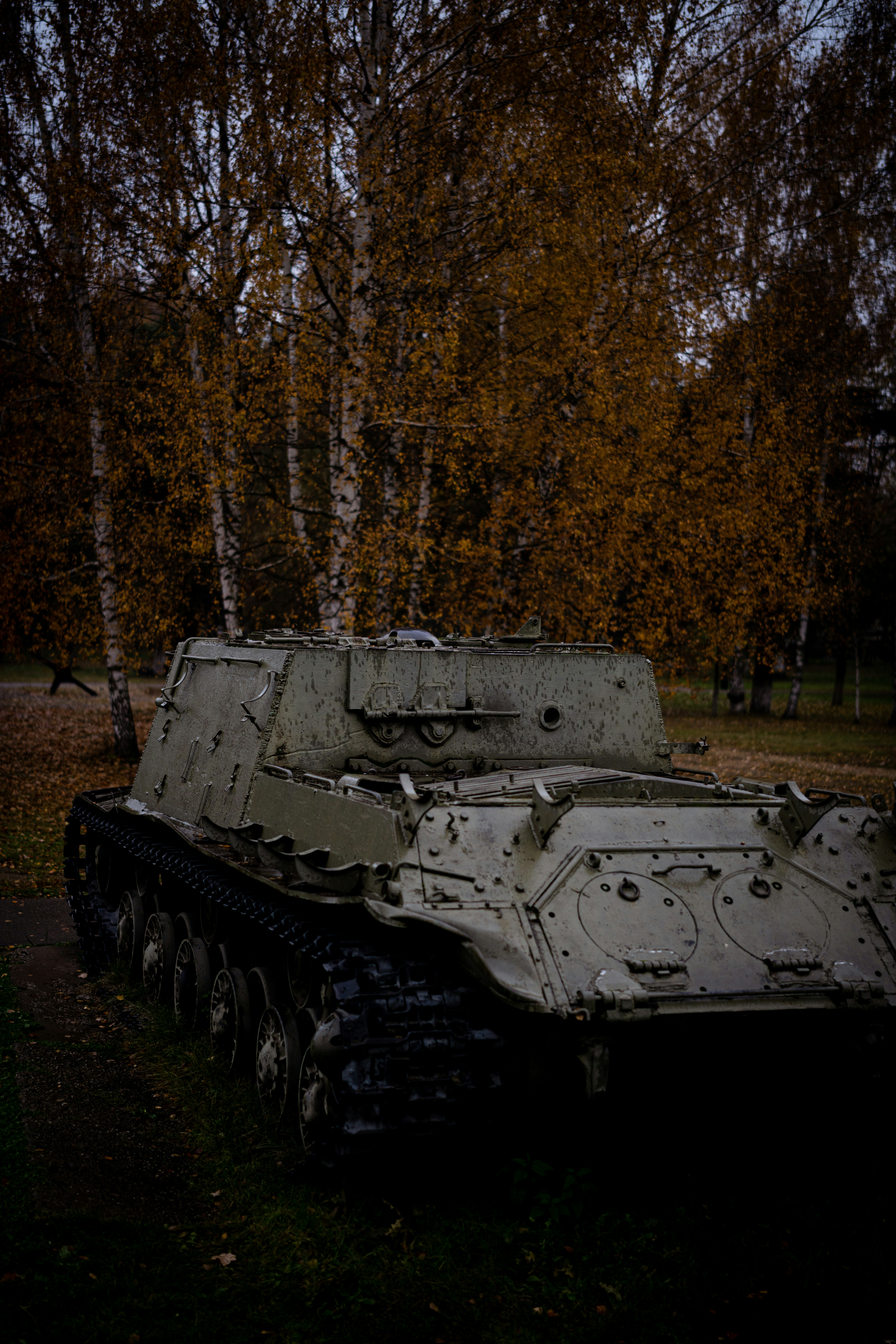 A tank sitting in the middle of a forest