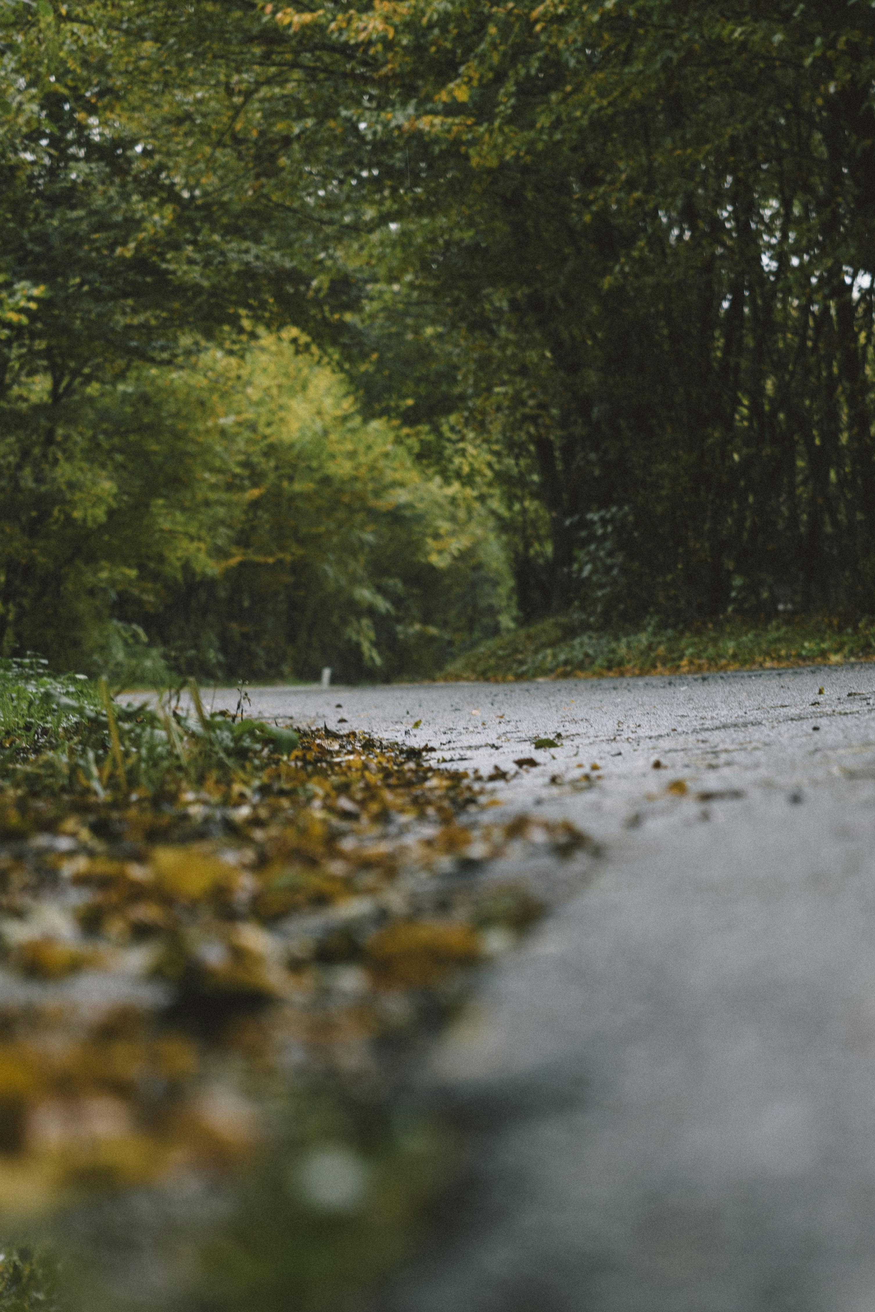 Photo by i_am_simoesse