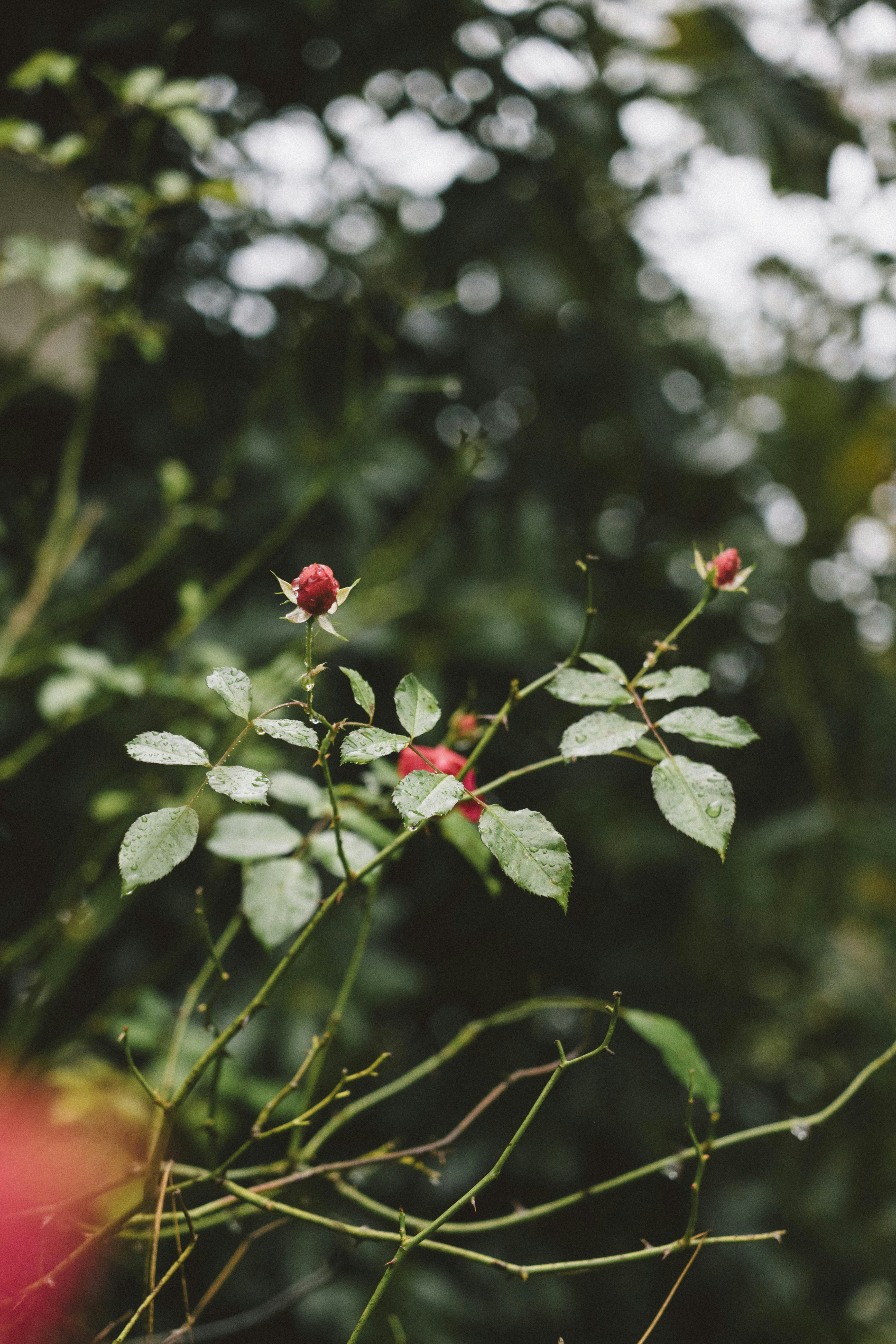 Photo by i_am_simoesse