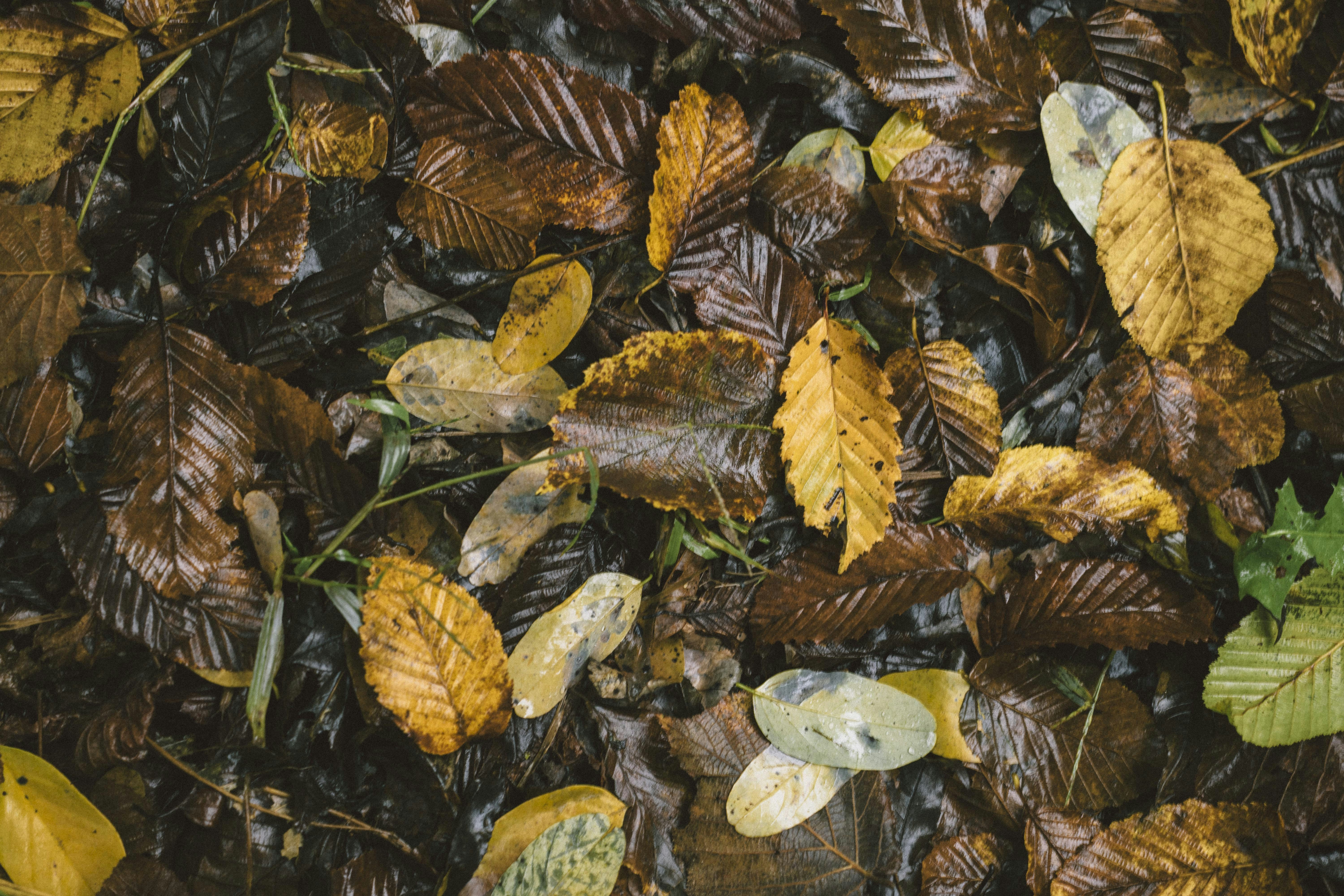 Photo by i_am_simoesse