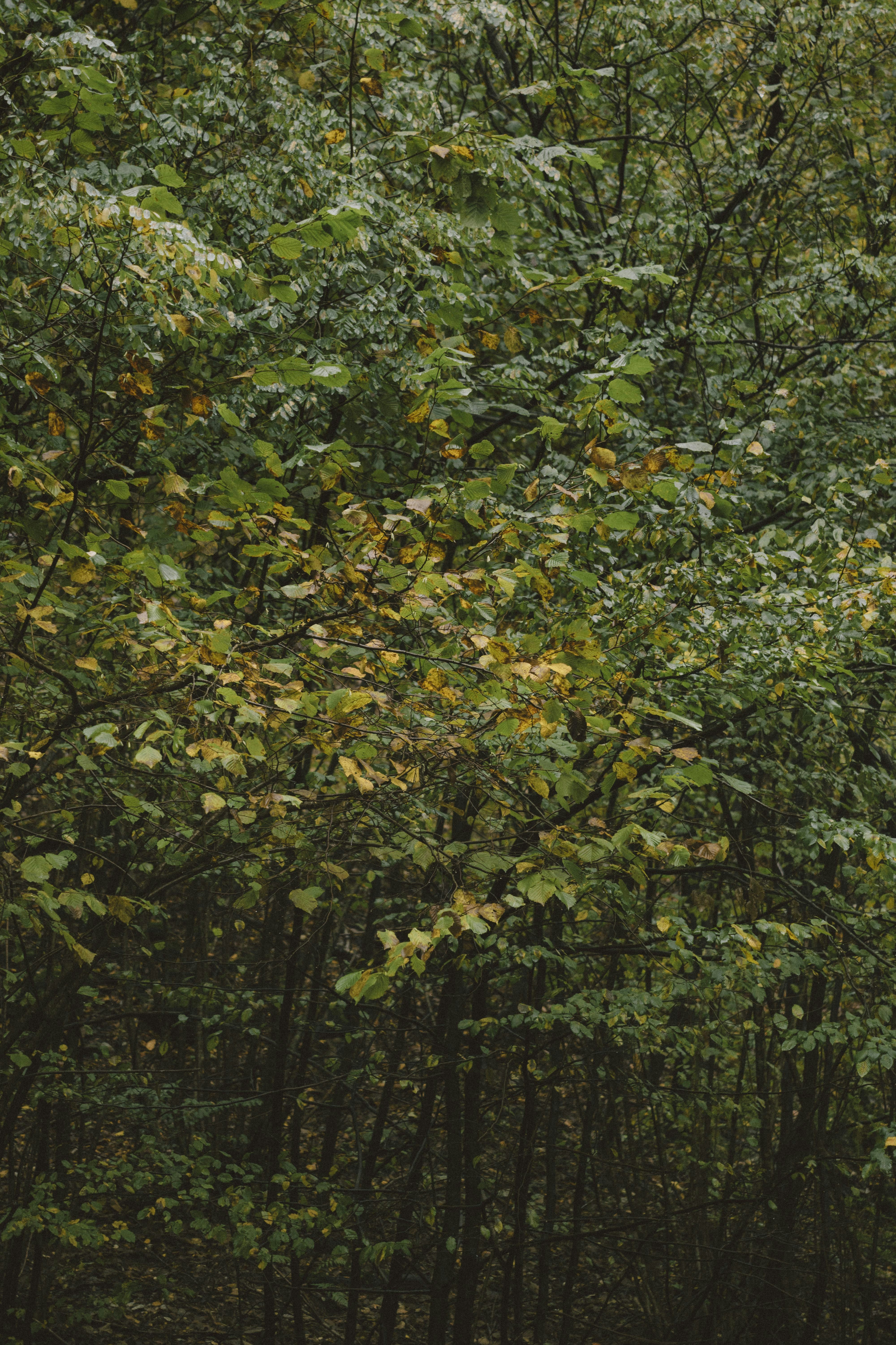 Photo by i_am_simoesse