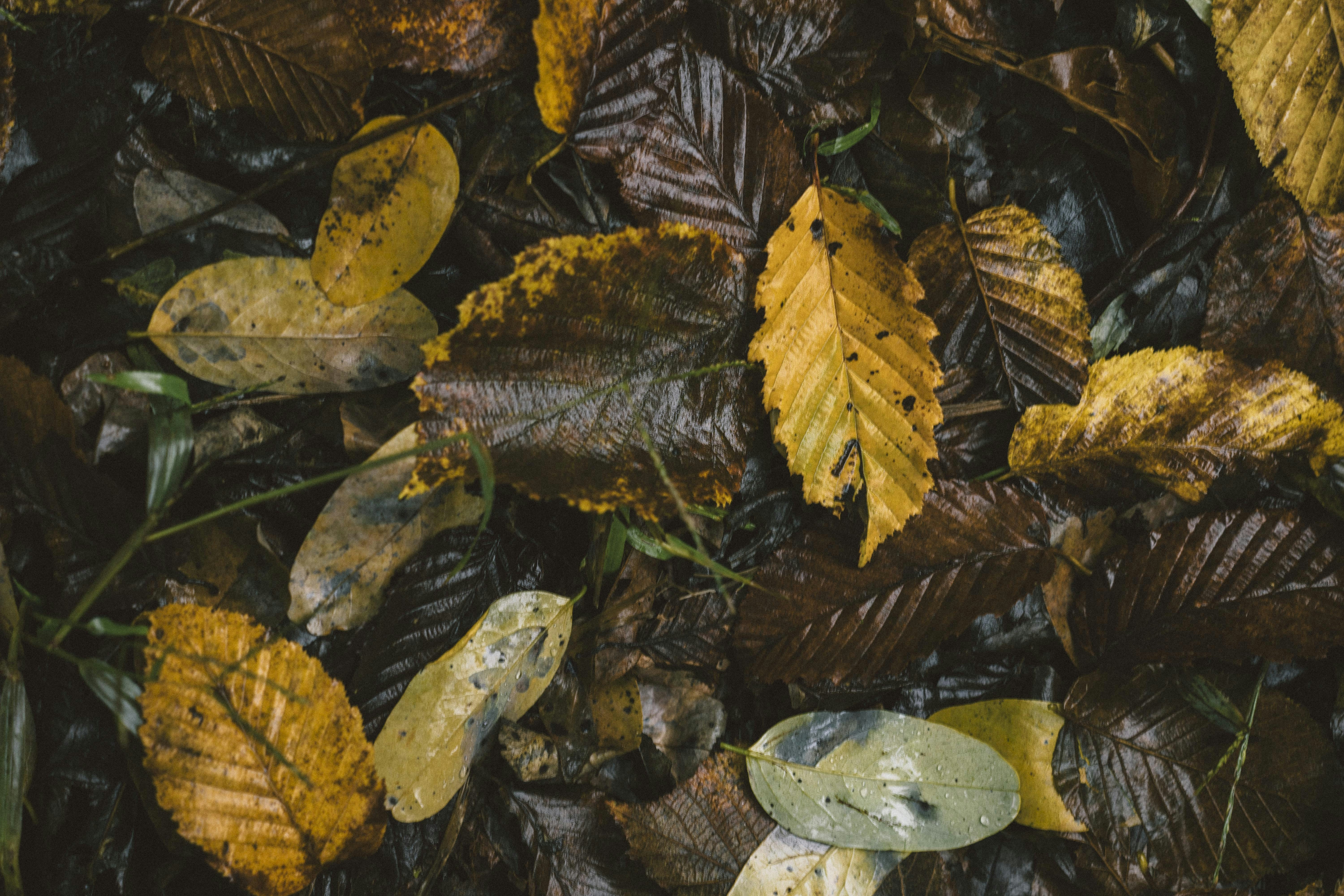 Photo by i_am_simoesse