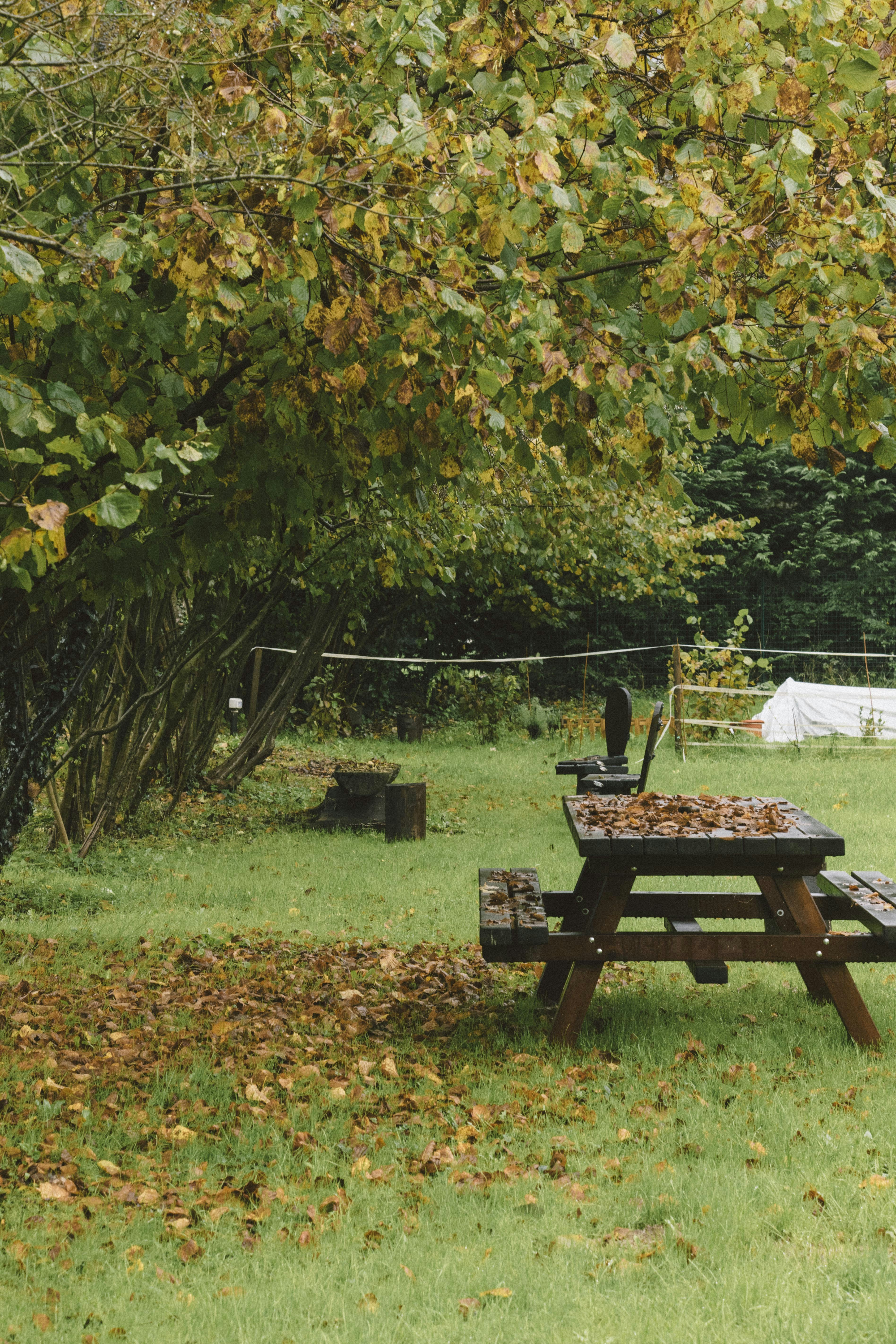 A picnic table in the middle of a field