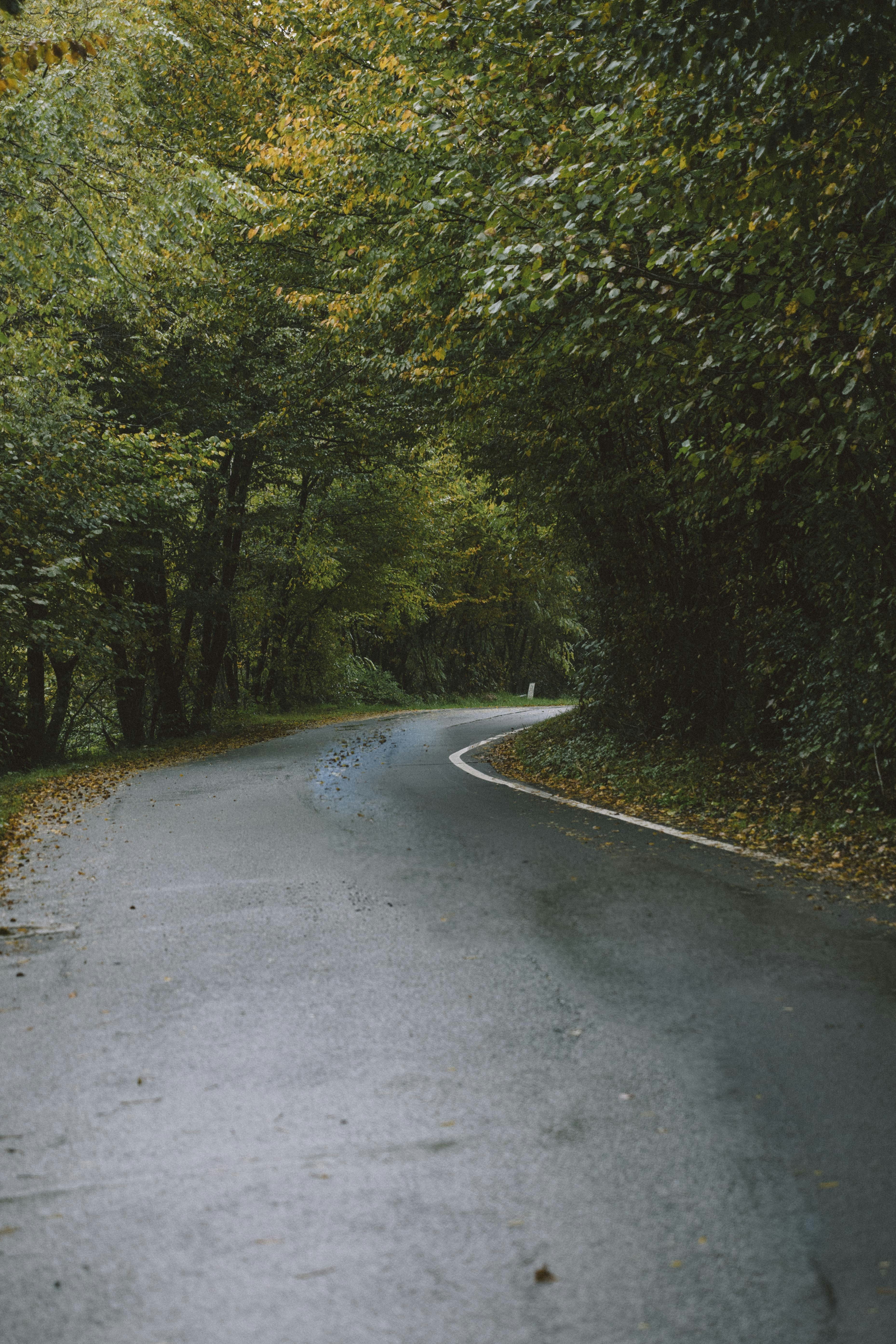 Photo by i_am_simoesse