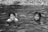 Two young girls swimming in a river together
