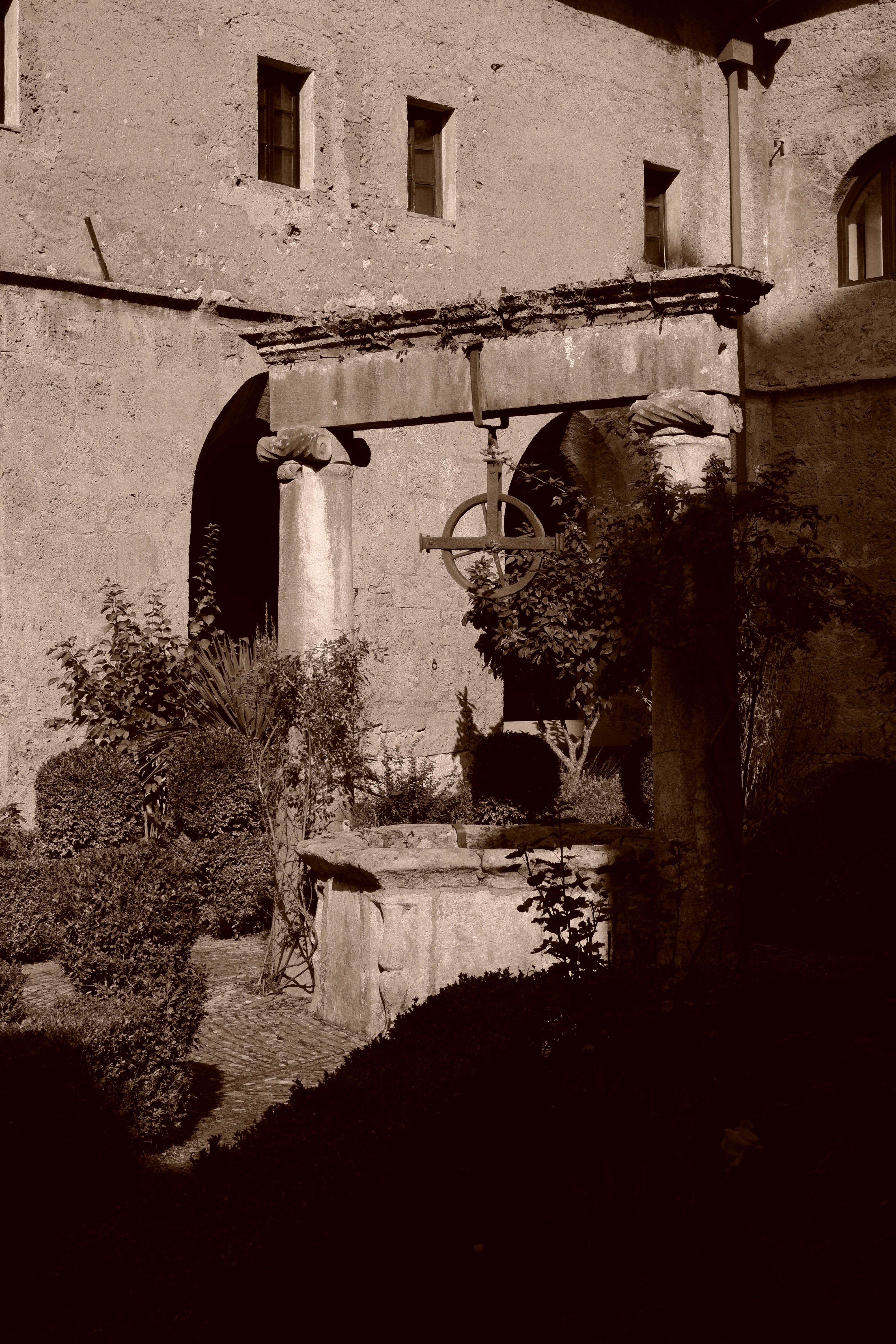 Photo by pignacolada