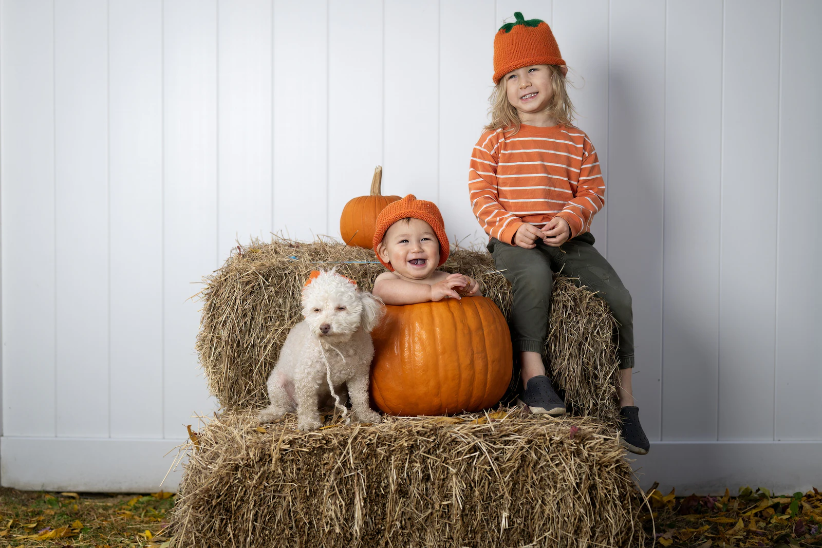 Two children sitting on a hay bale surrounded by pumpkins