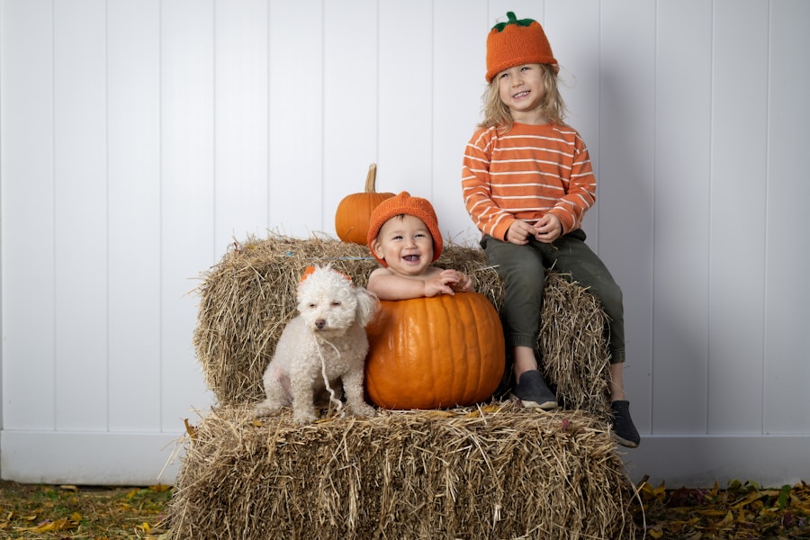 Preparing Your Dog for a New Baby: A Step-by-Step Guide