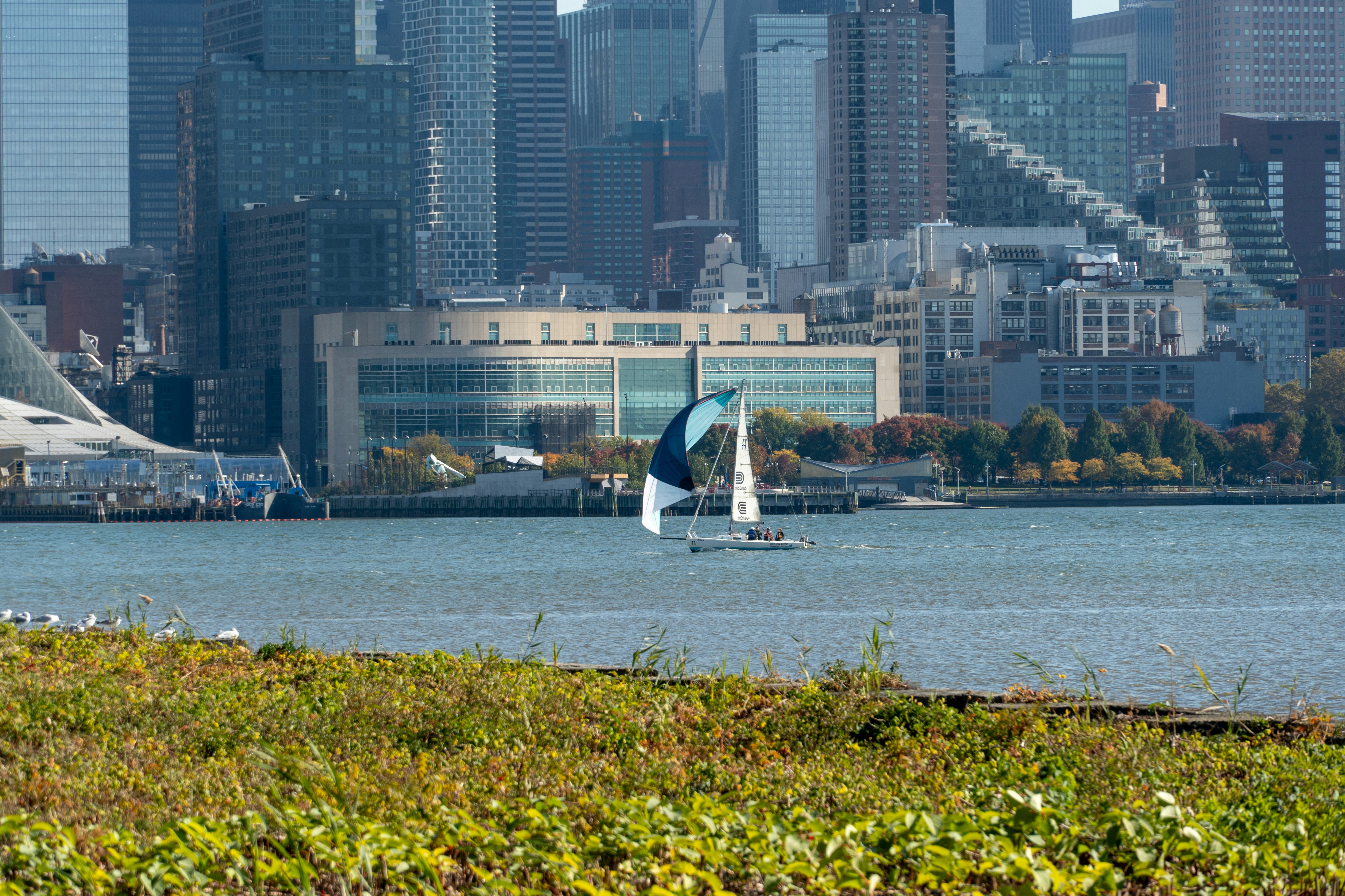 A sailboat in the water with a city in the background