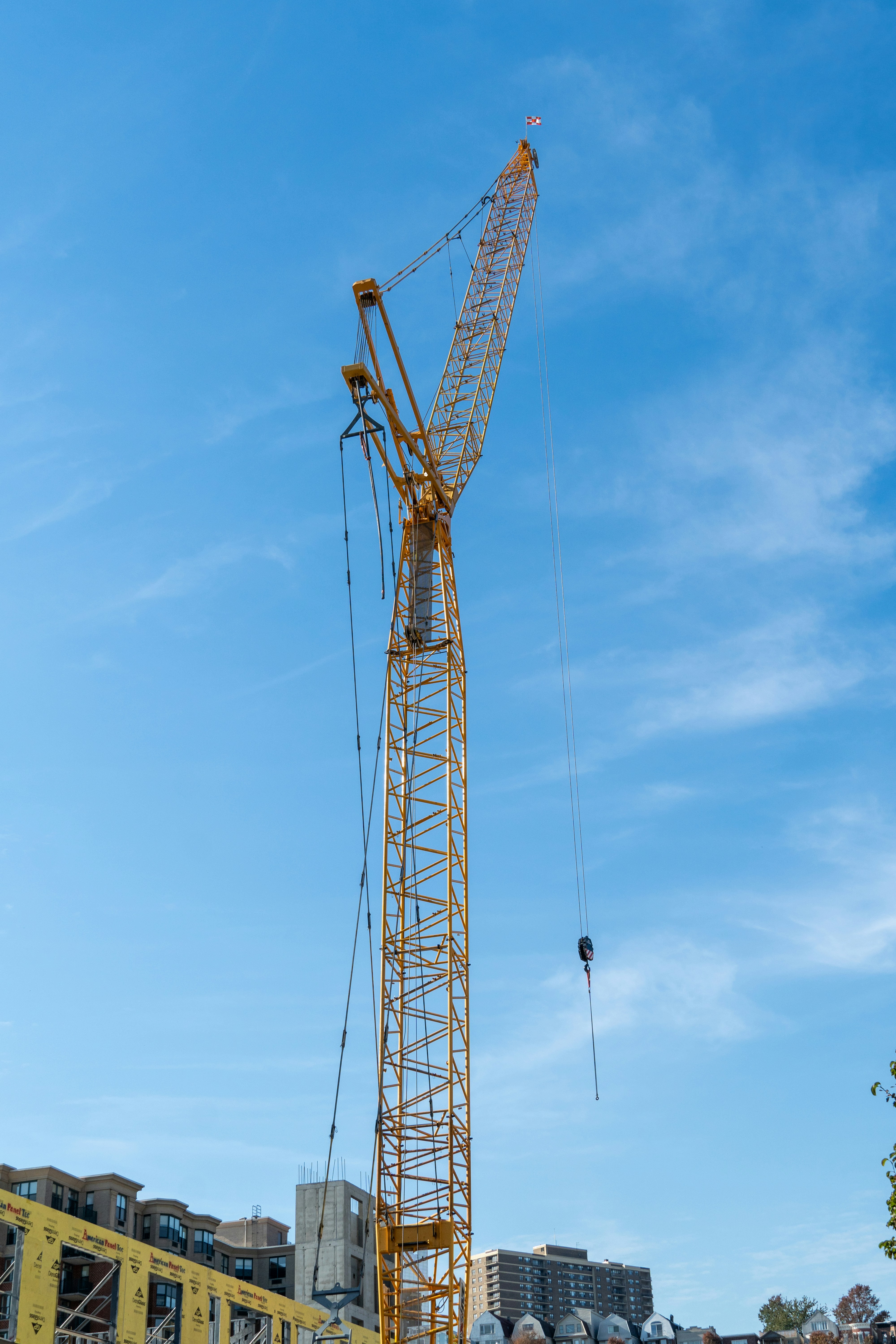 Photo by seandogjani