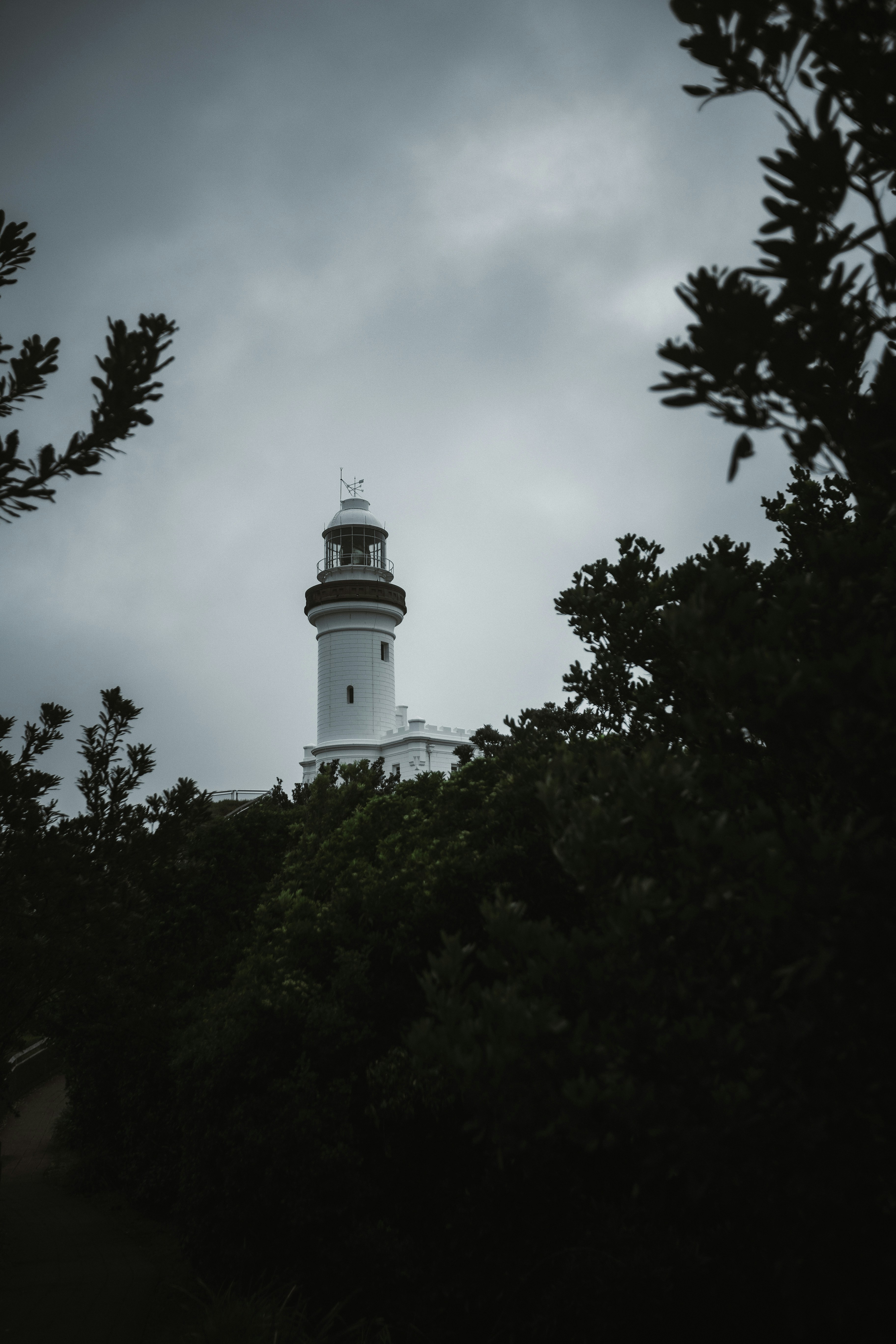 Photo by behindthetmuna