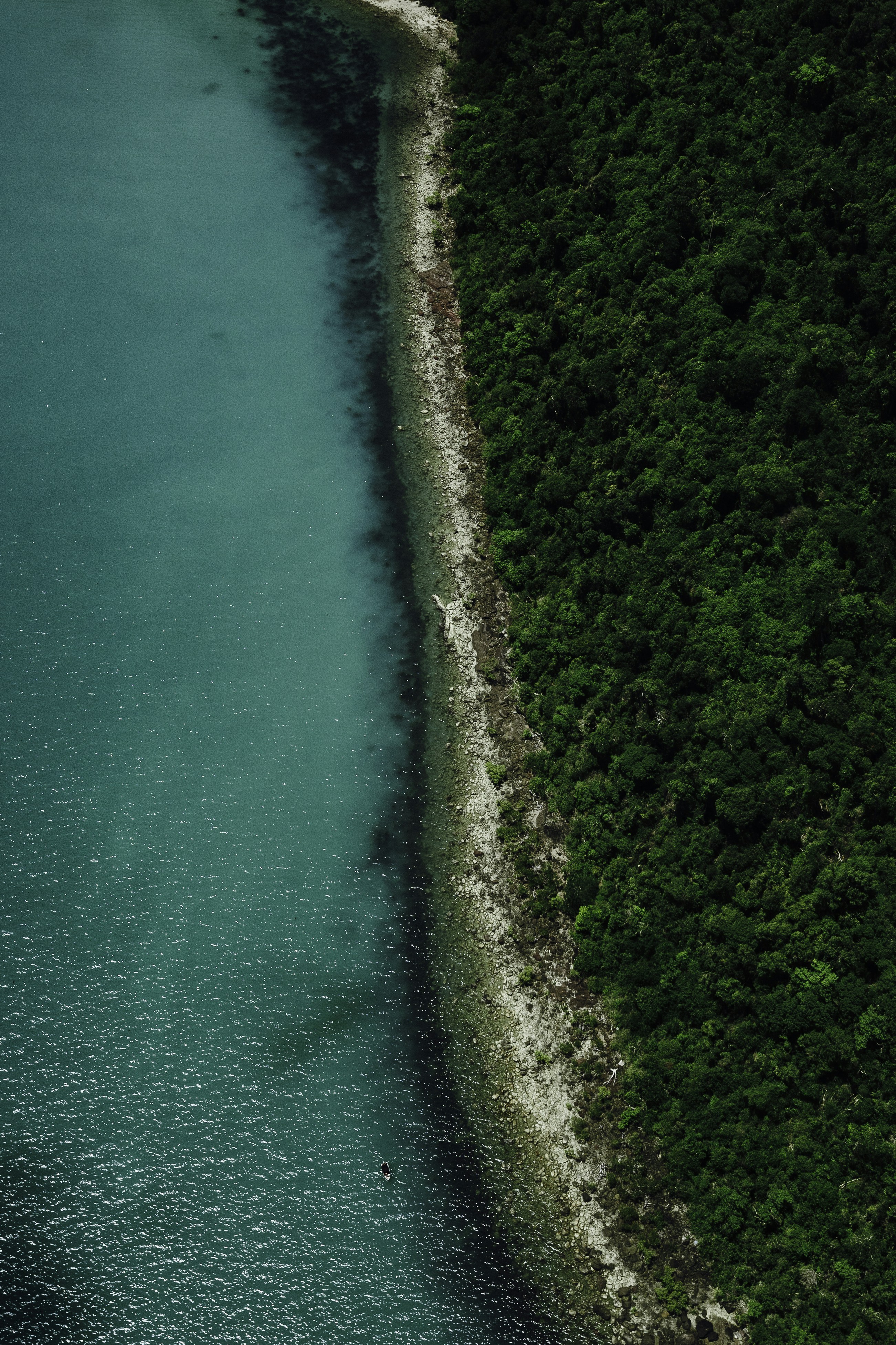 Photo by behindthetmuna