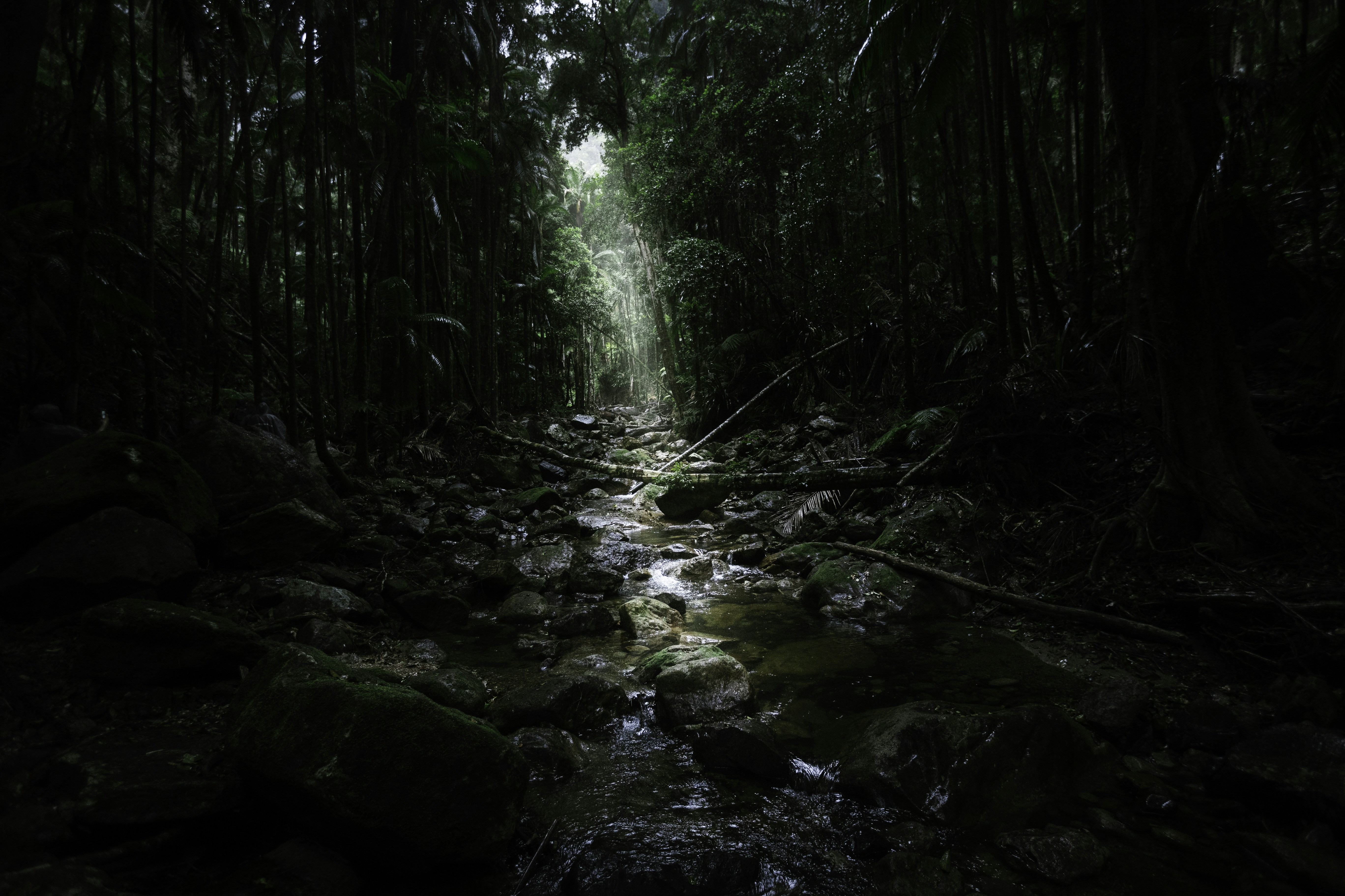 Photo by behindthetmuna