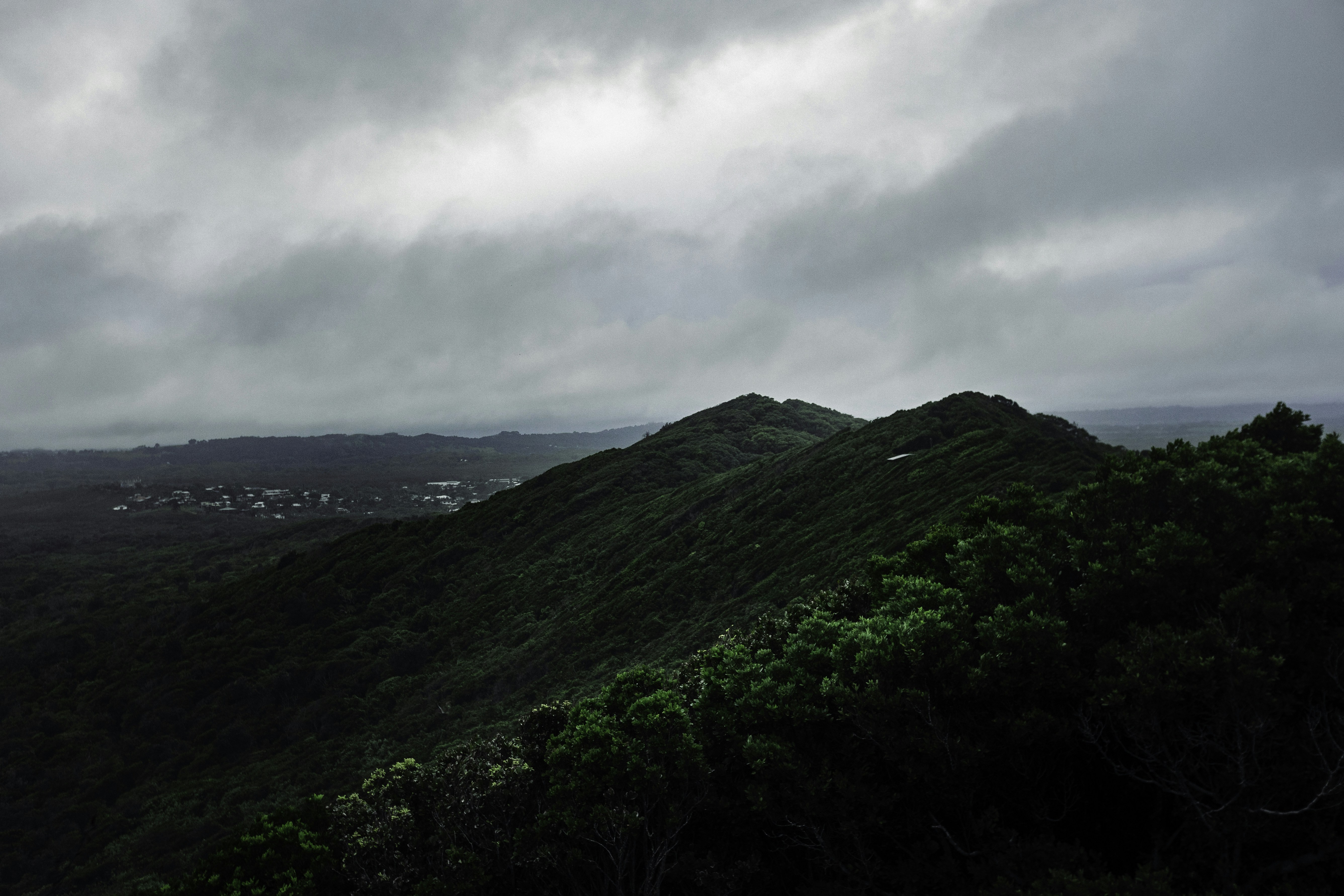 Photo by behindthetmuna