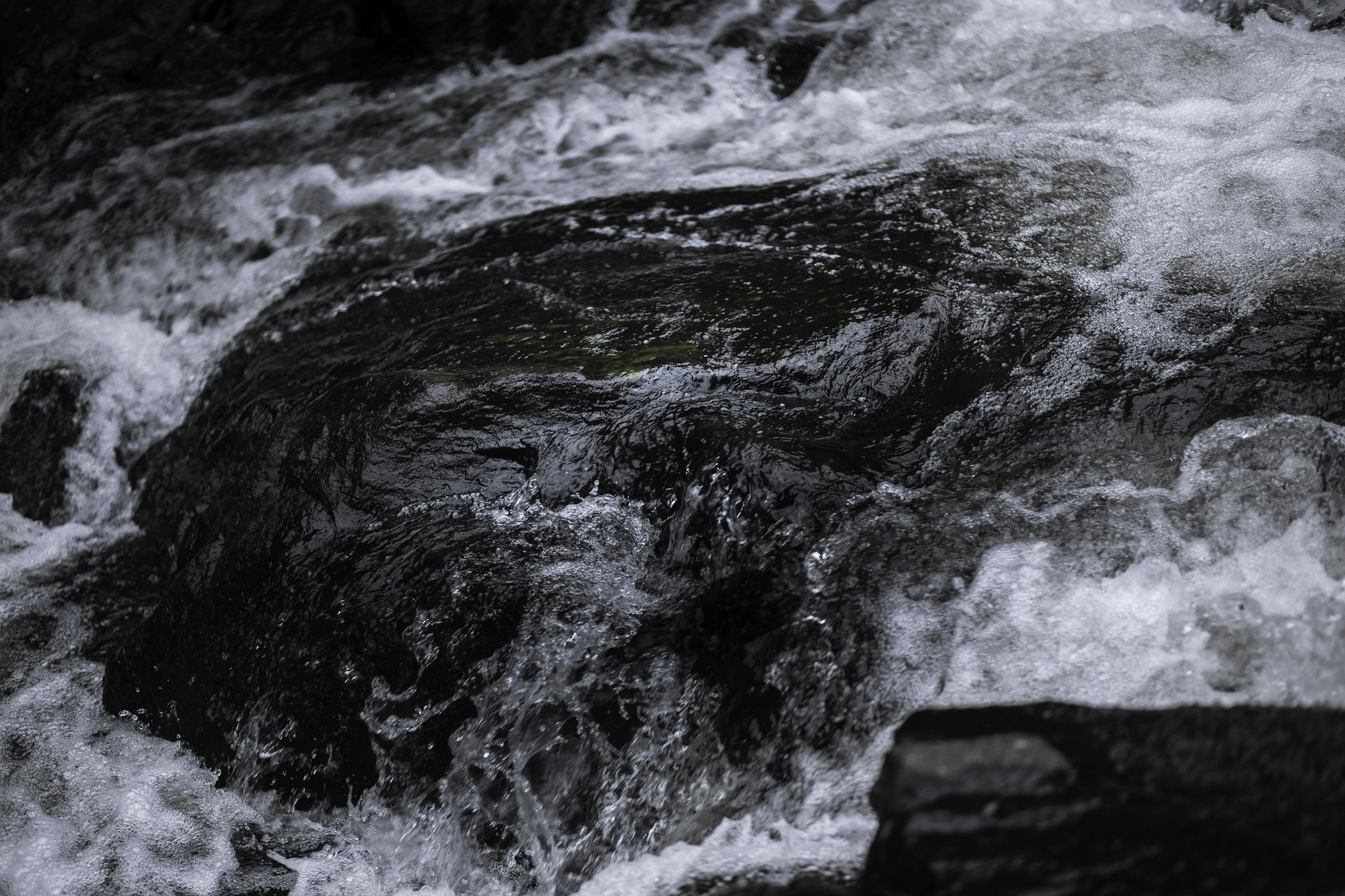 Photo by behindthetmuna