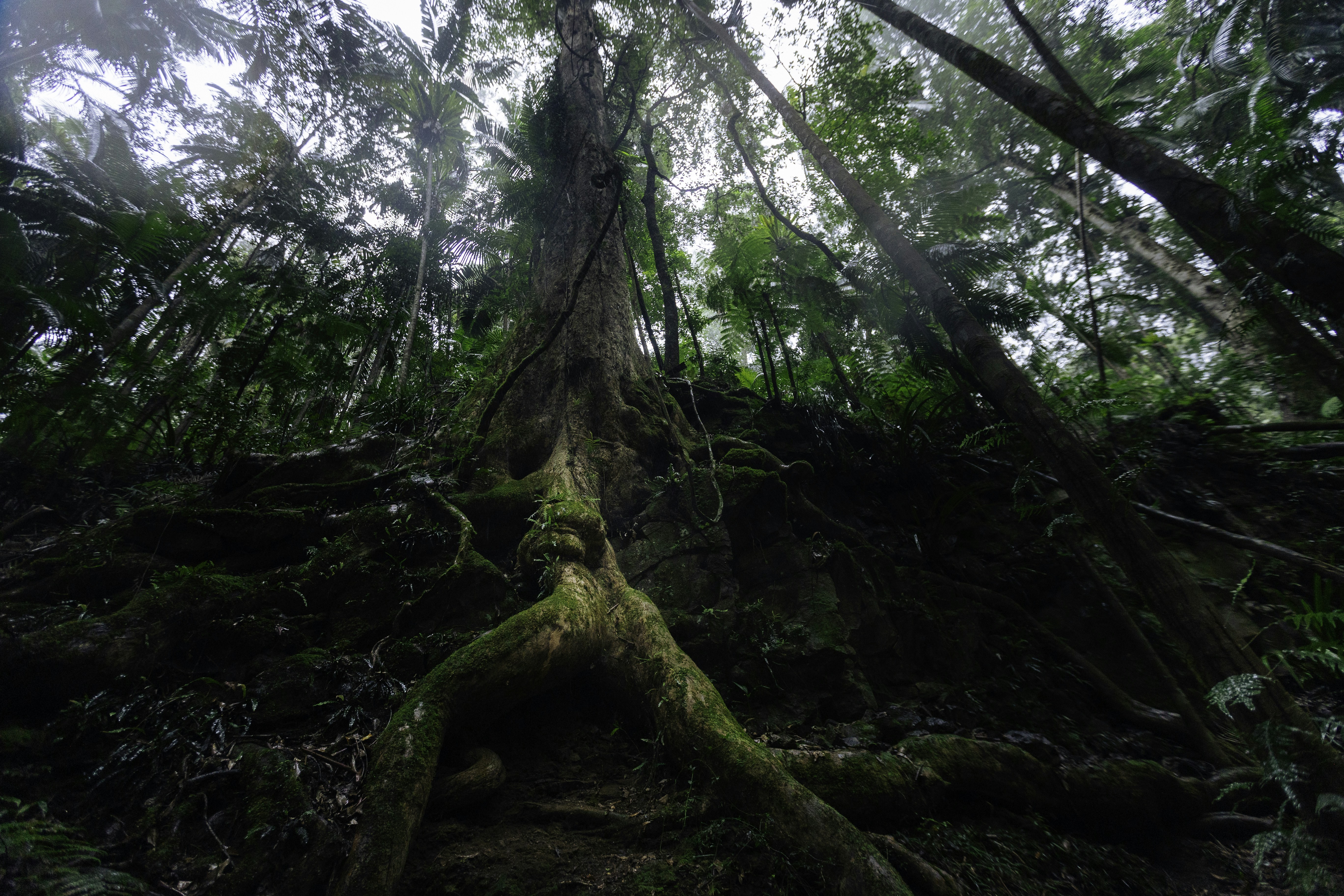 Photo by behindthetmuna