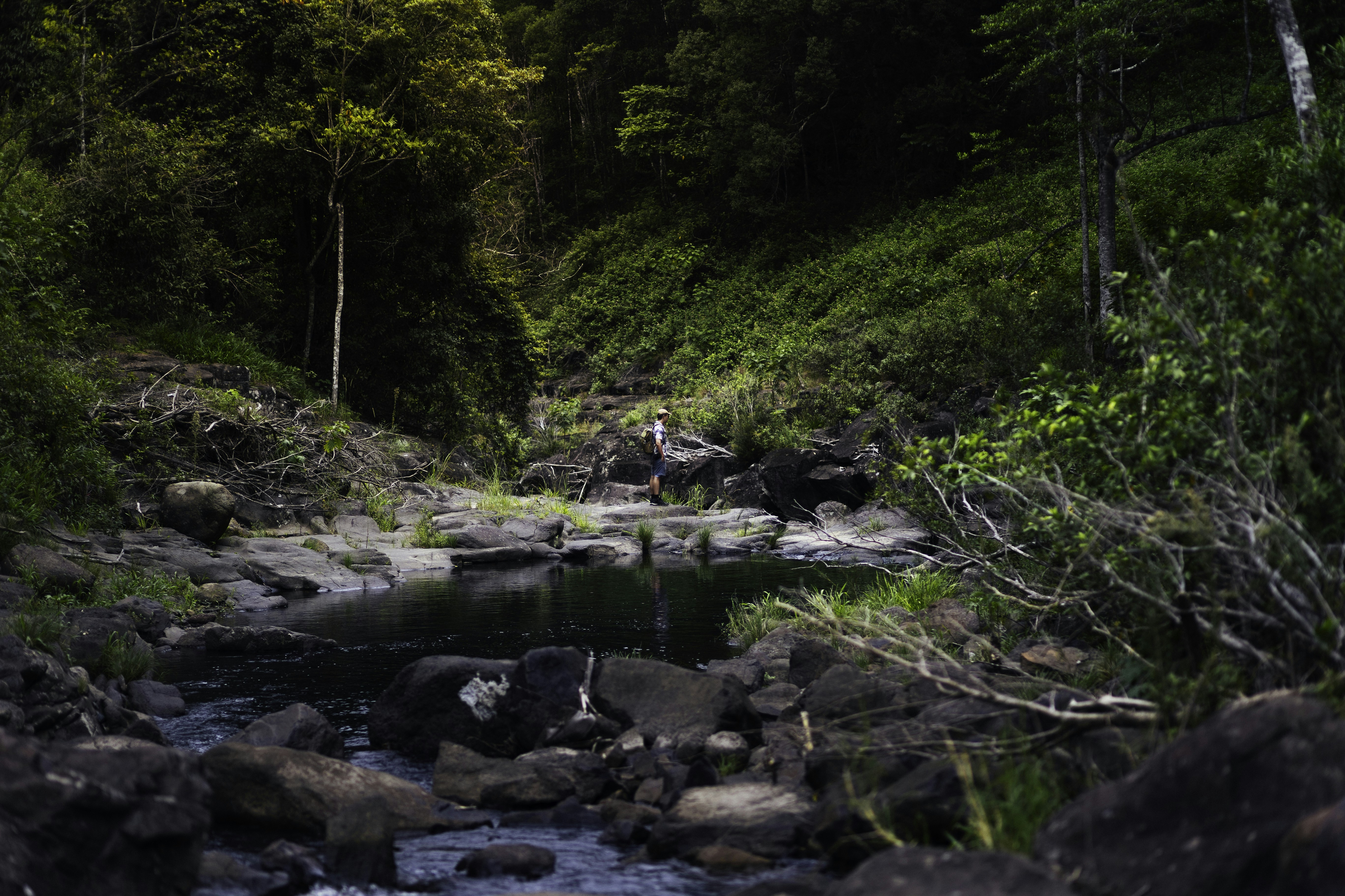 Photo by behindthetmuna