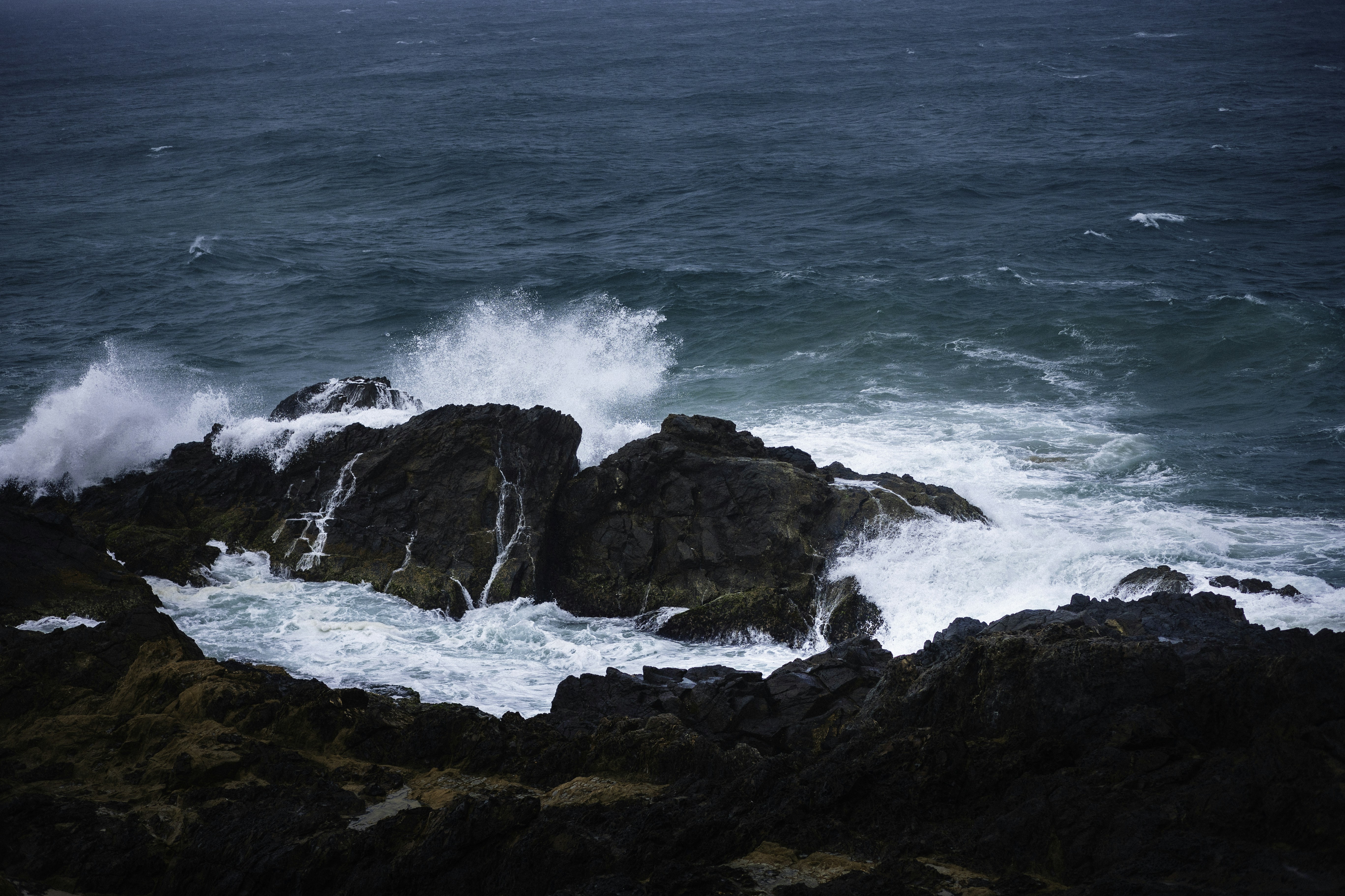 Photo by behindthetmuna