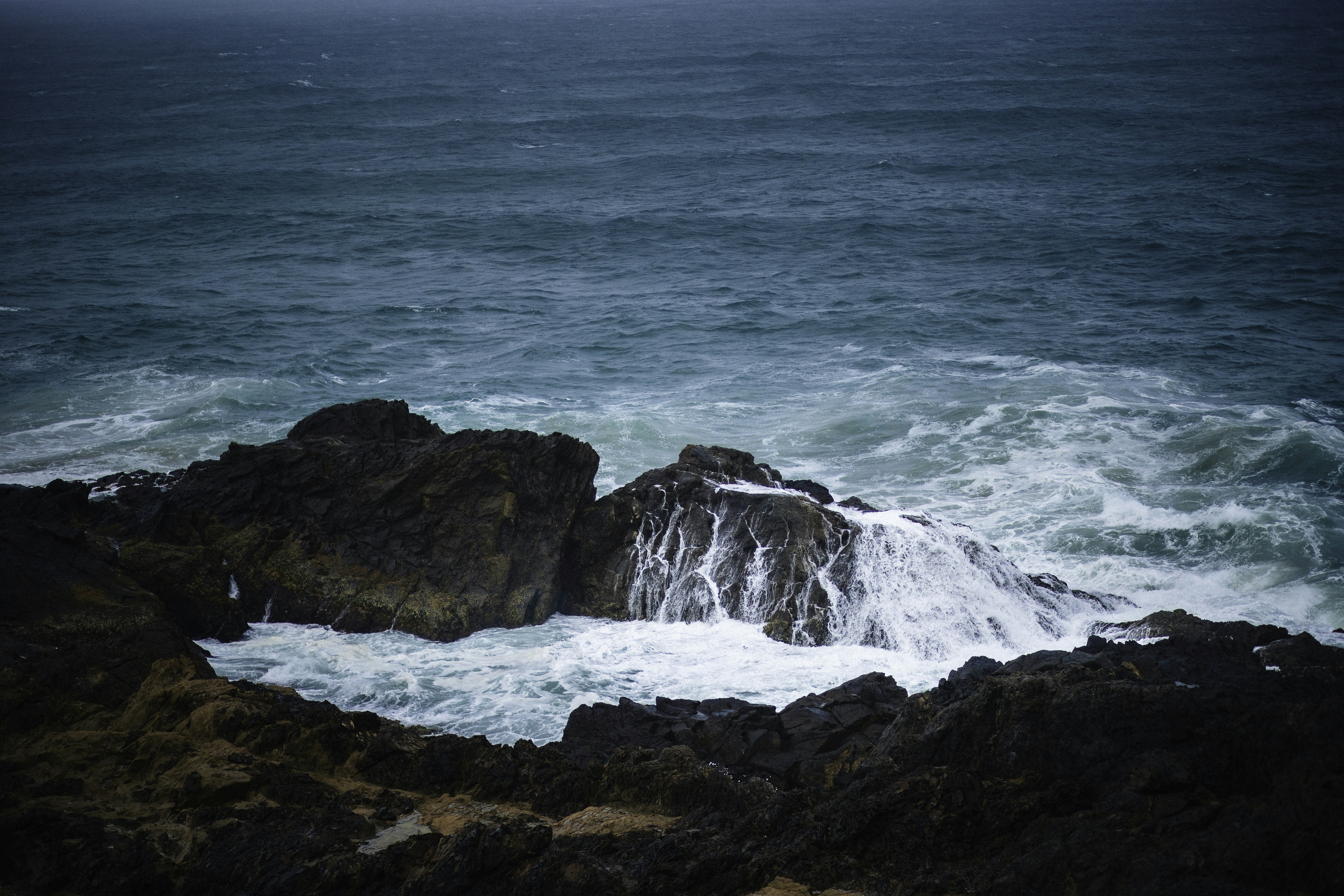 Photo by behindthetmuna