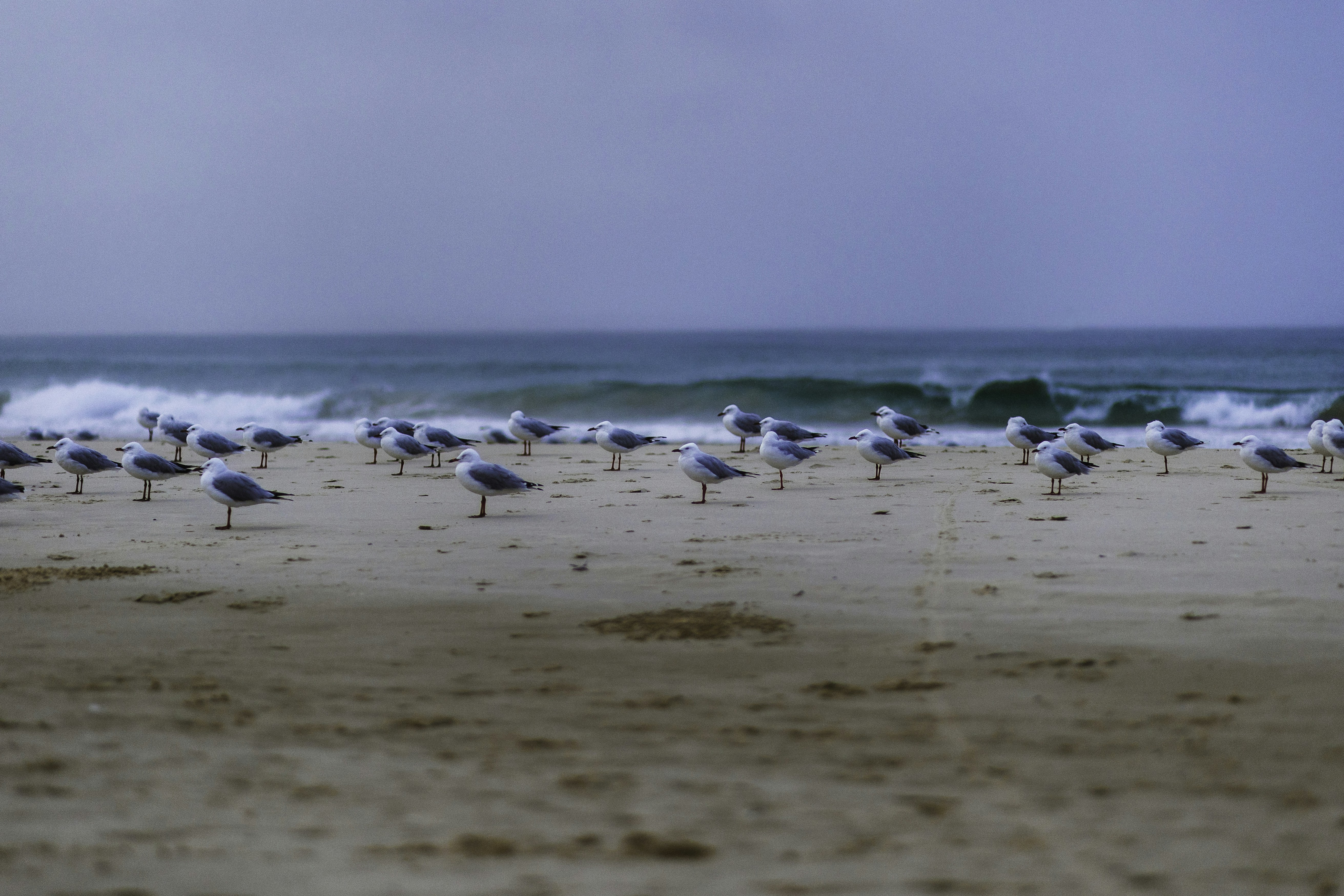 Photo by behindthetmuna