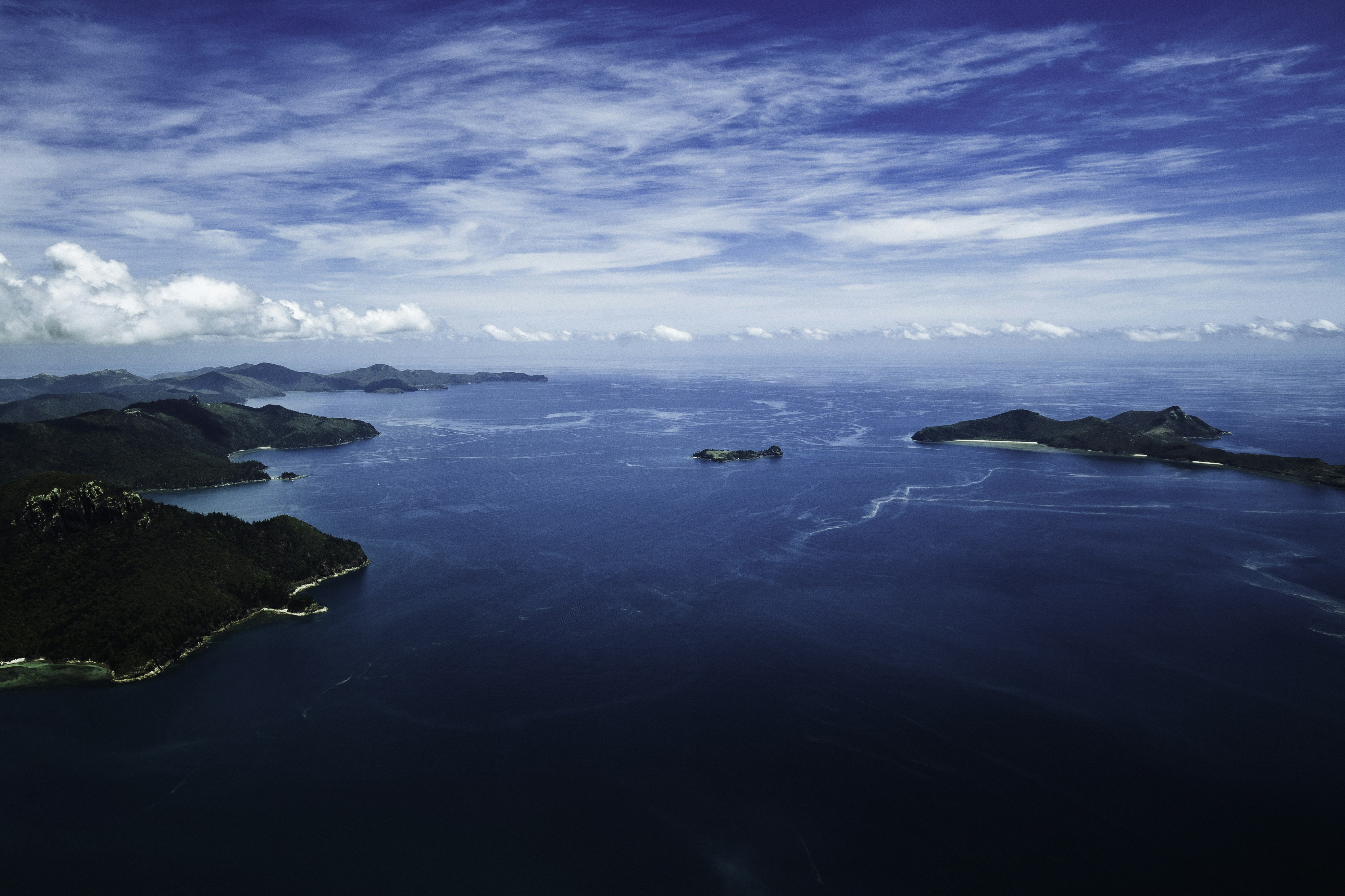 Photo by behindthetmuna