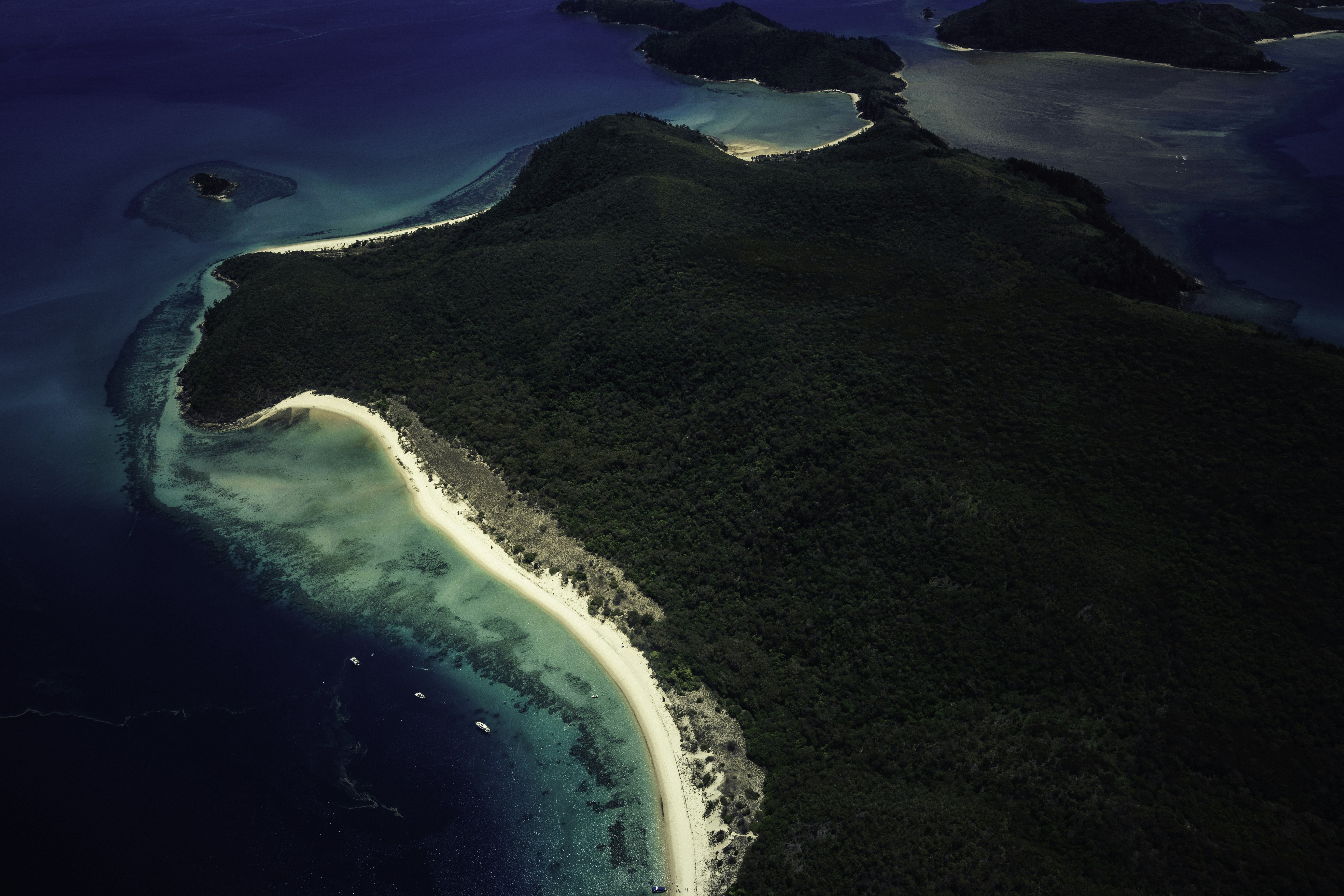 Photo by behindthetmuna