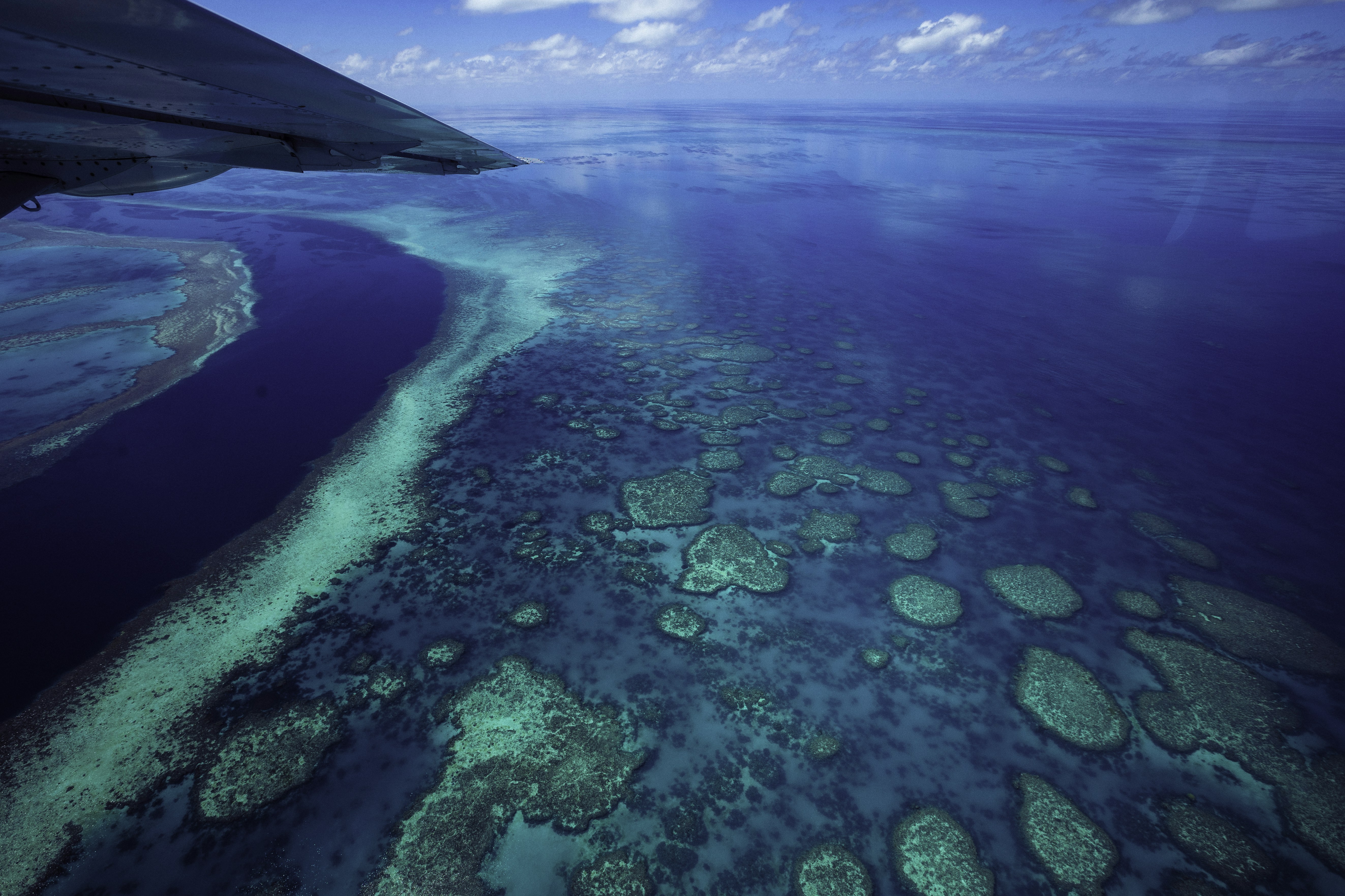 Photo by behindthetmuna