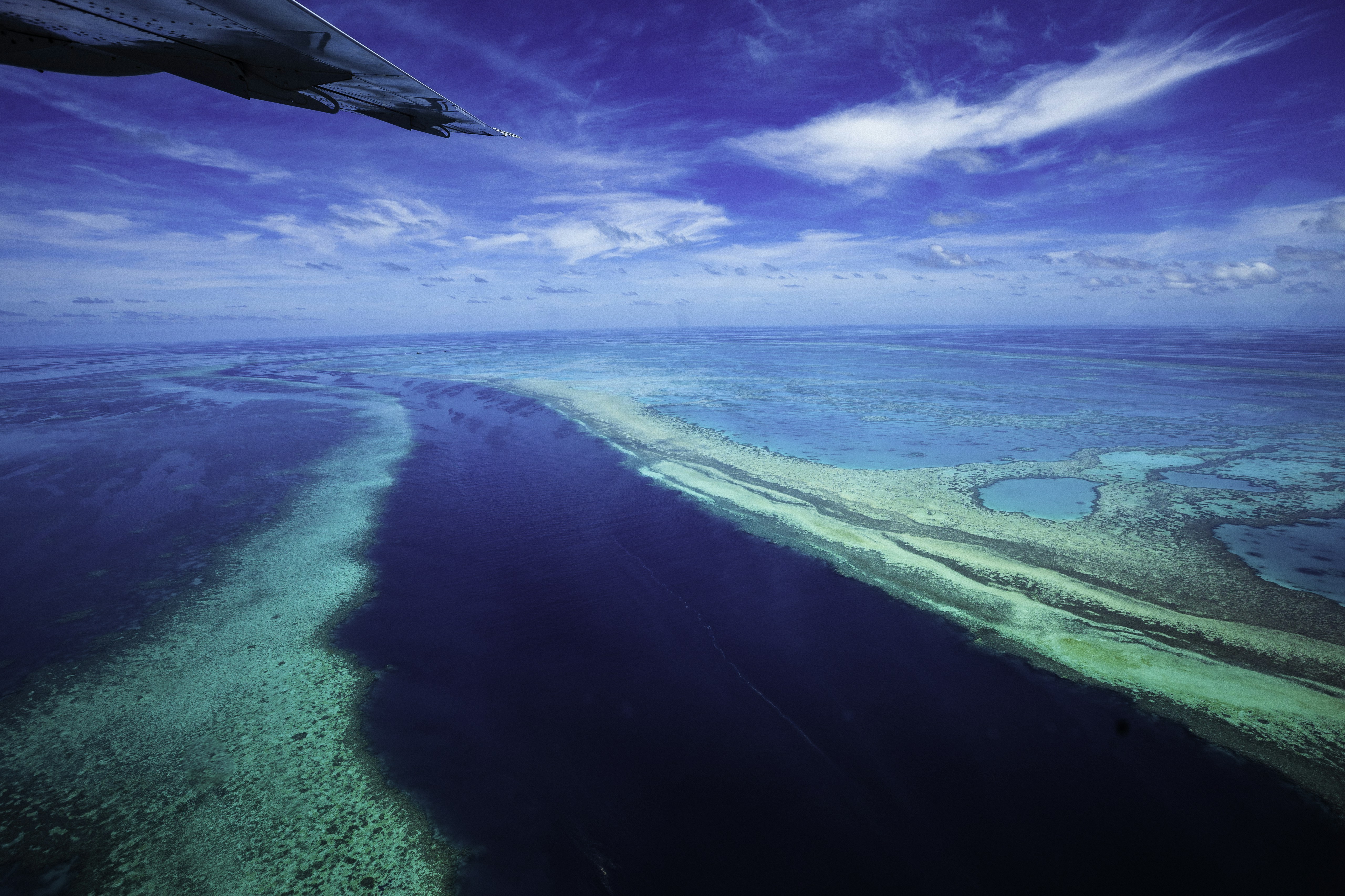 Photo by behindthetmuna