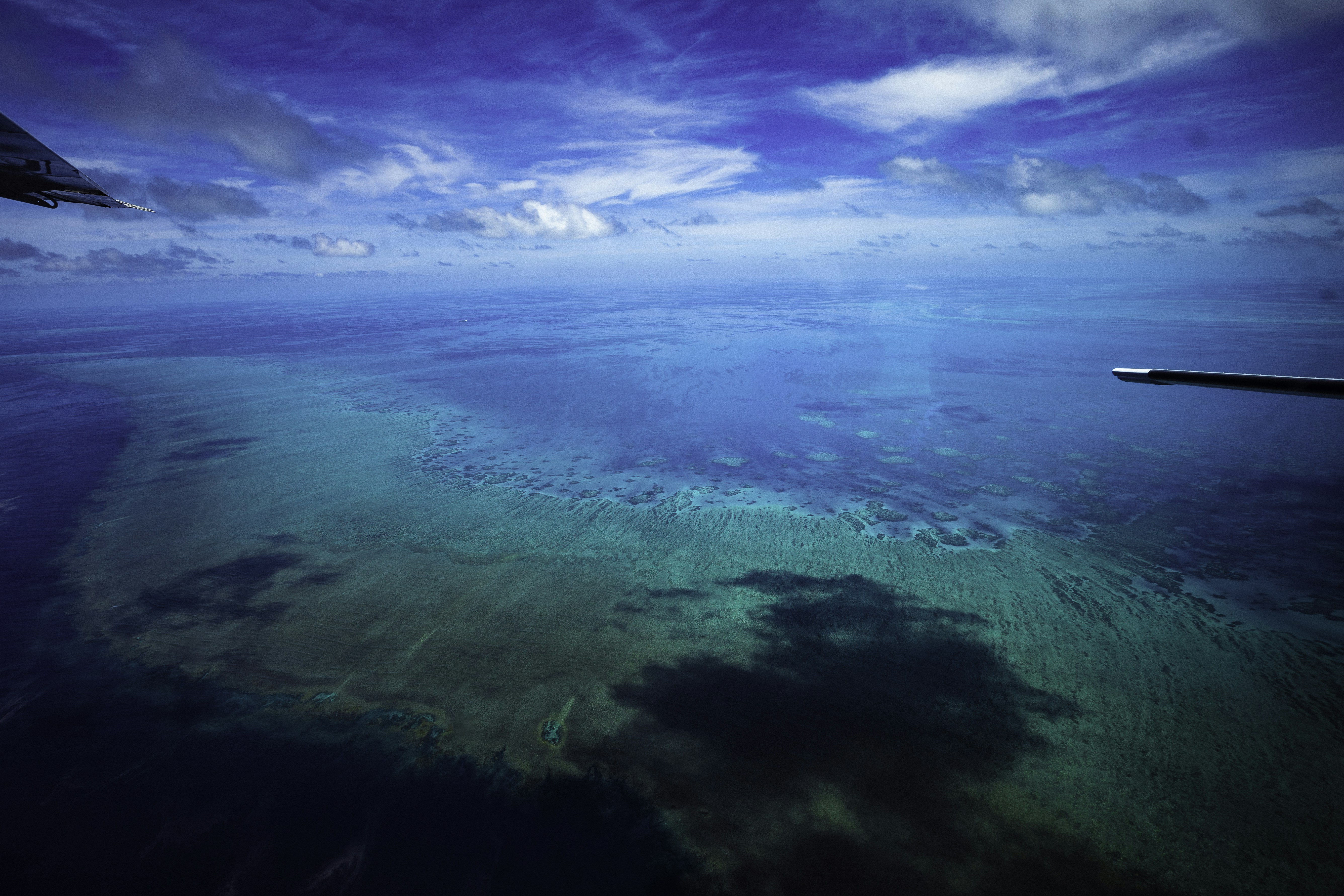 Photo by behindthetmuna