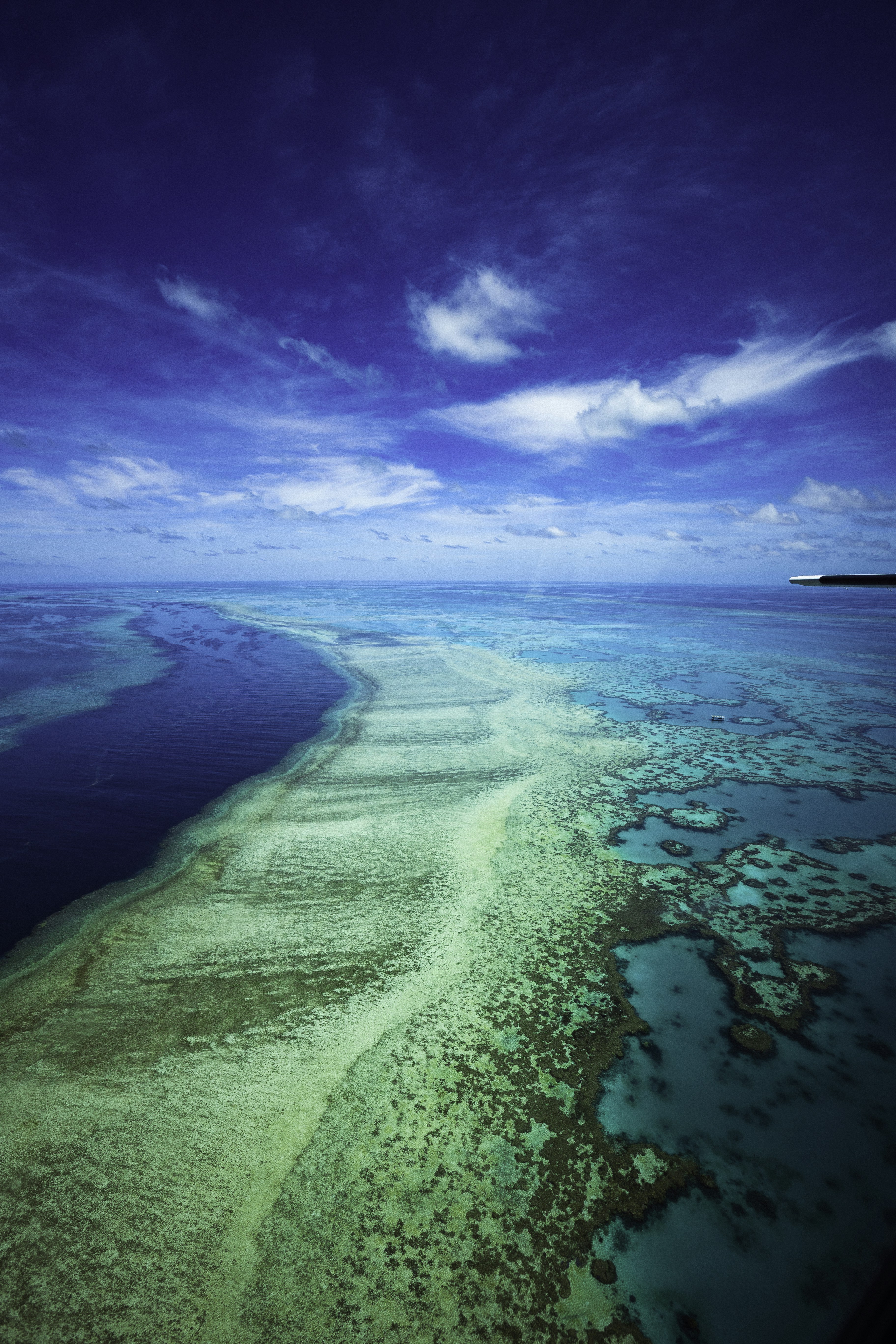 Photo by behindthetmuna