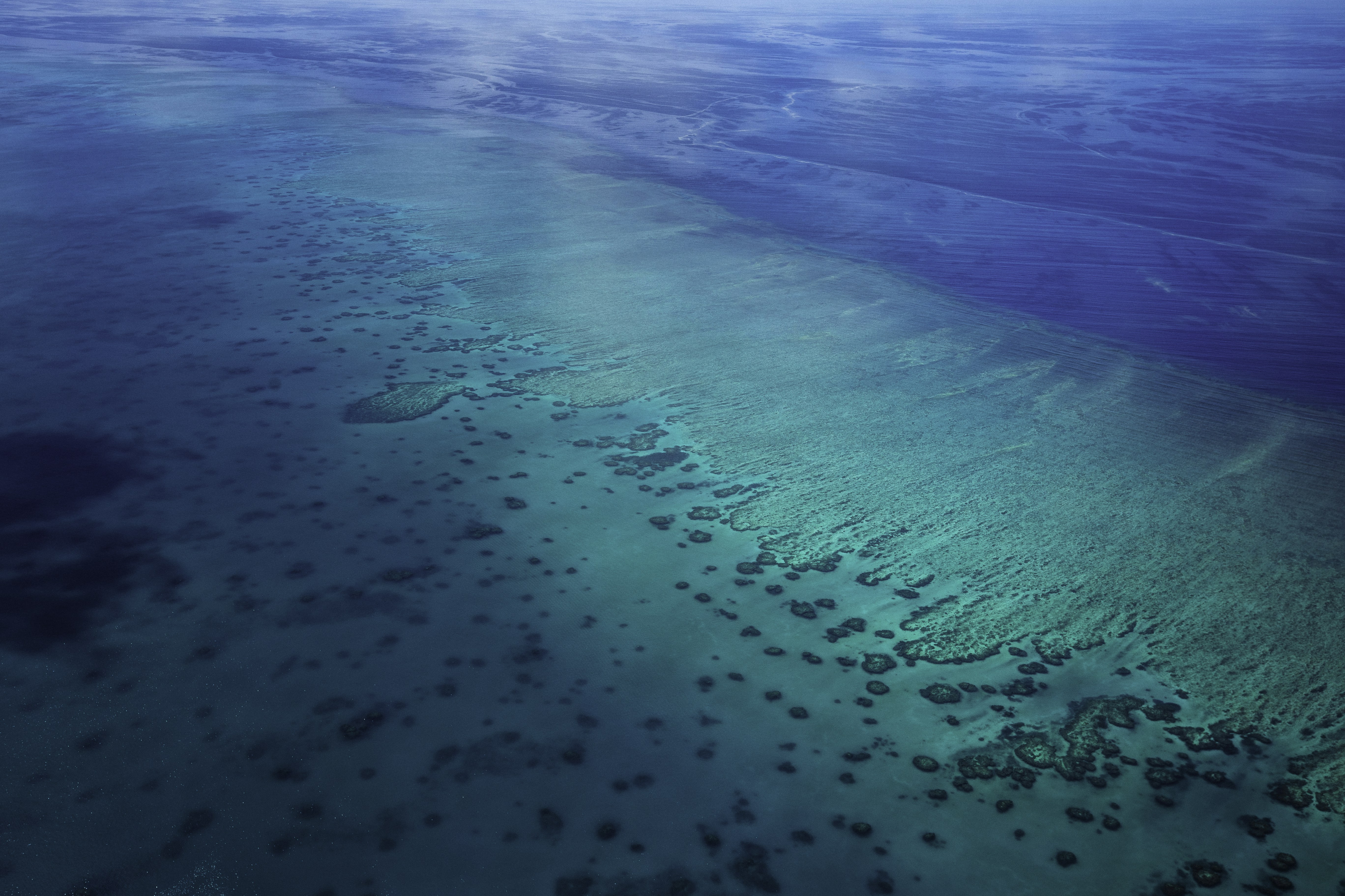 Photo by behindthetmuna