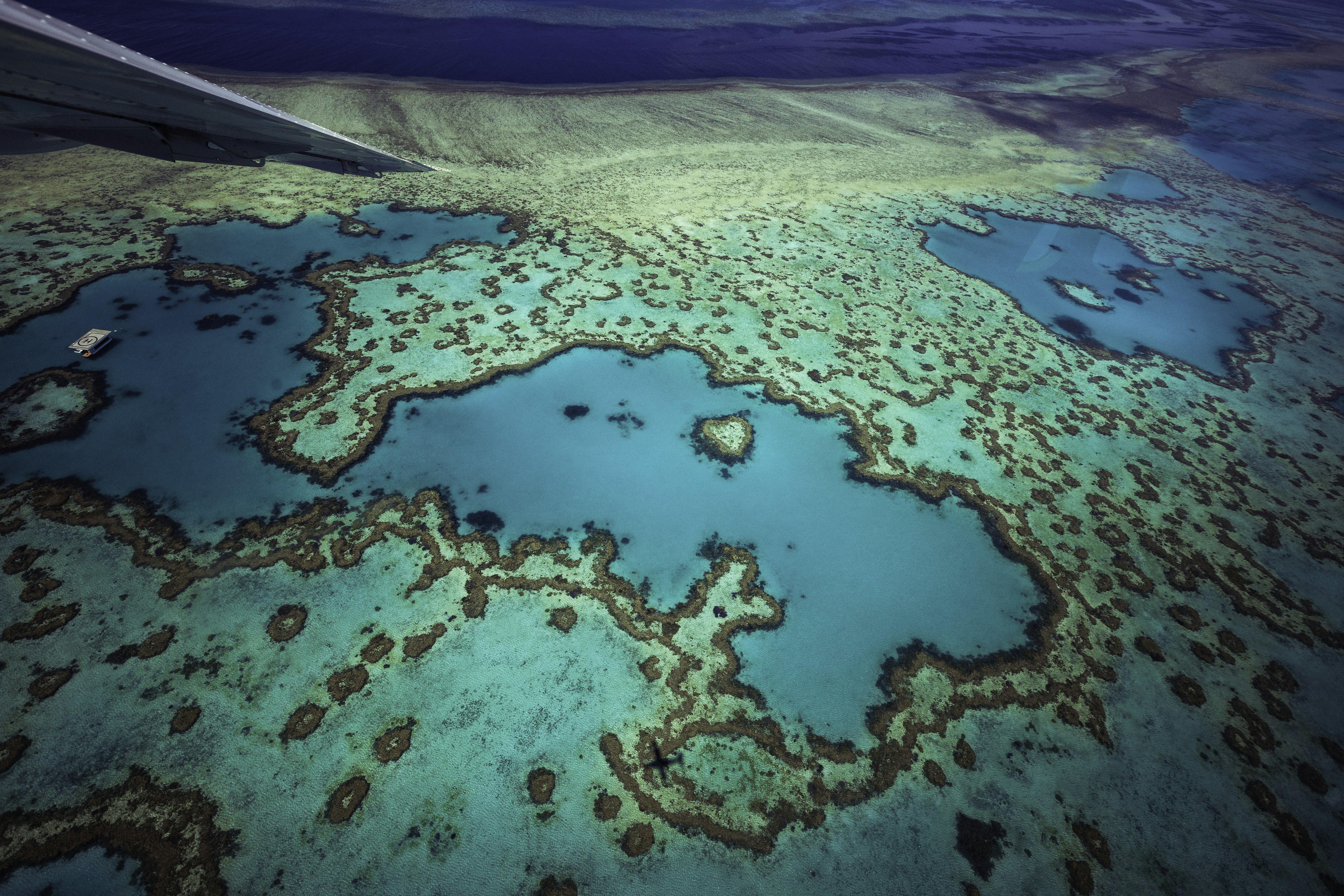 An airplane wing flying over a beautiful blue ocean