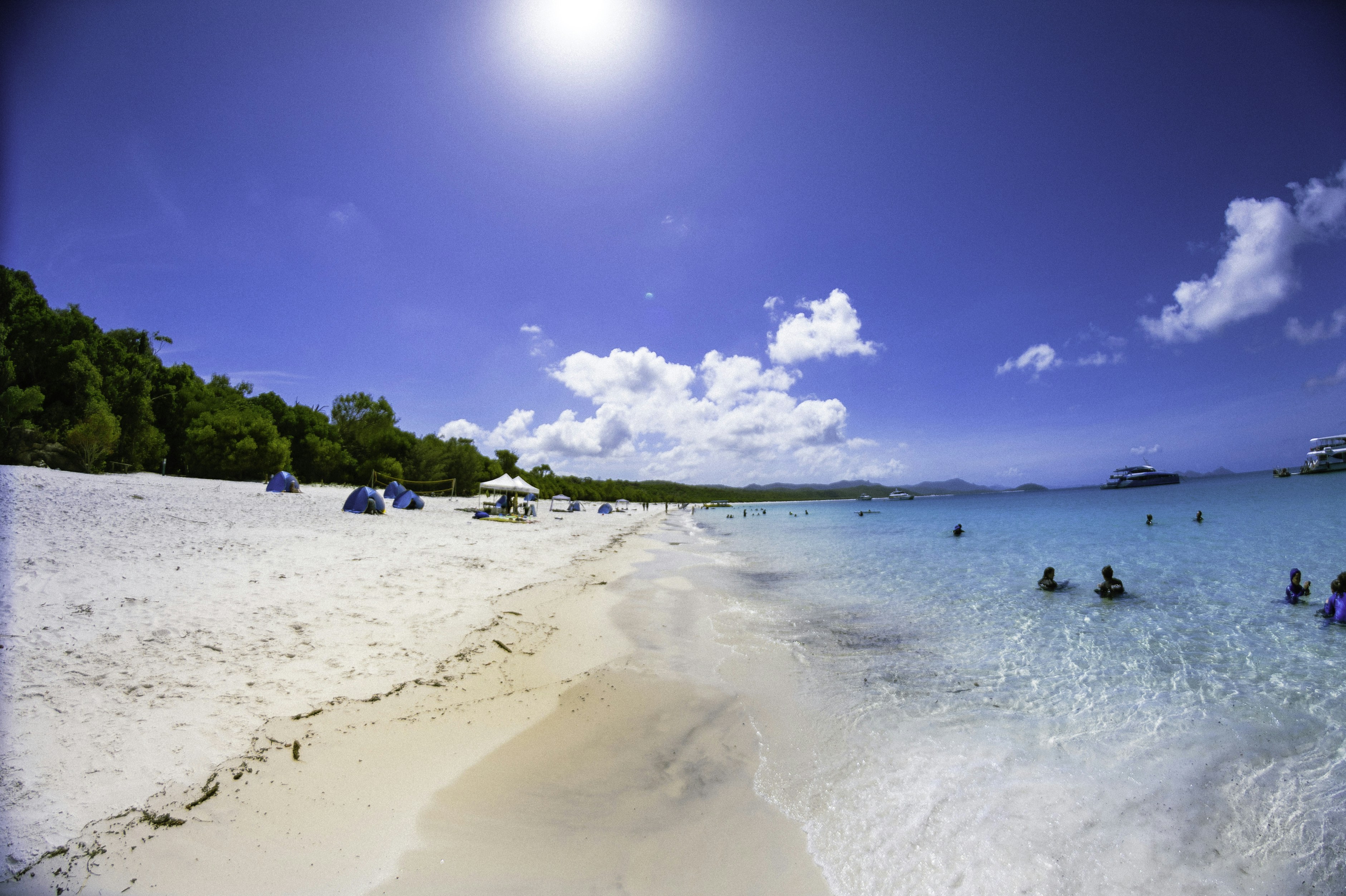 Photo by behindthetmuna