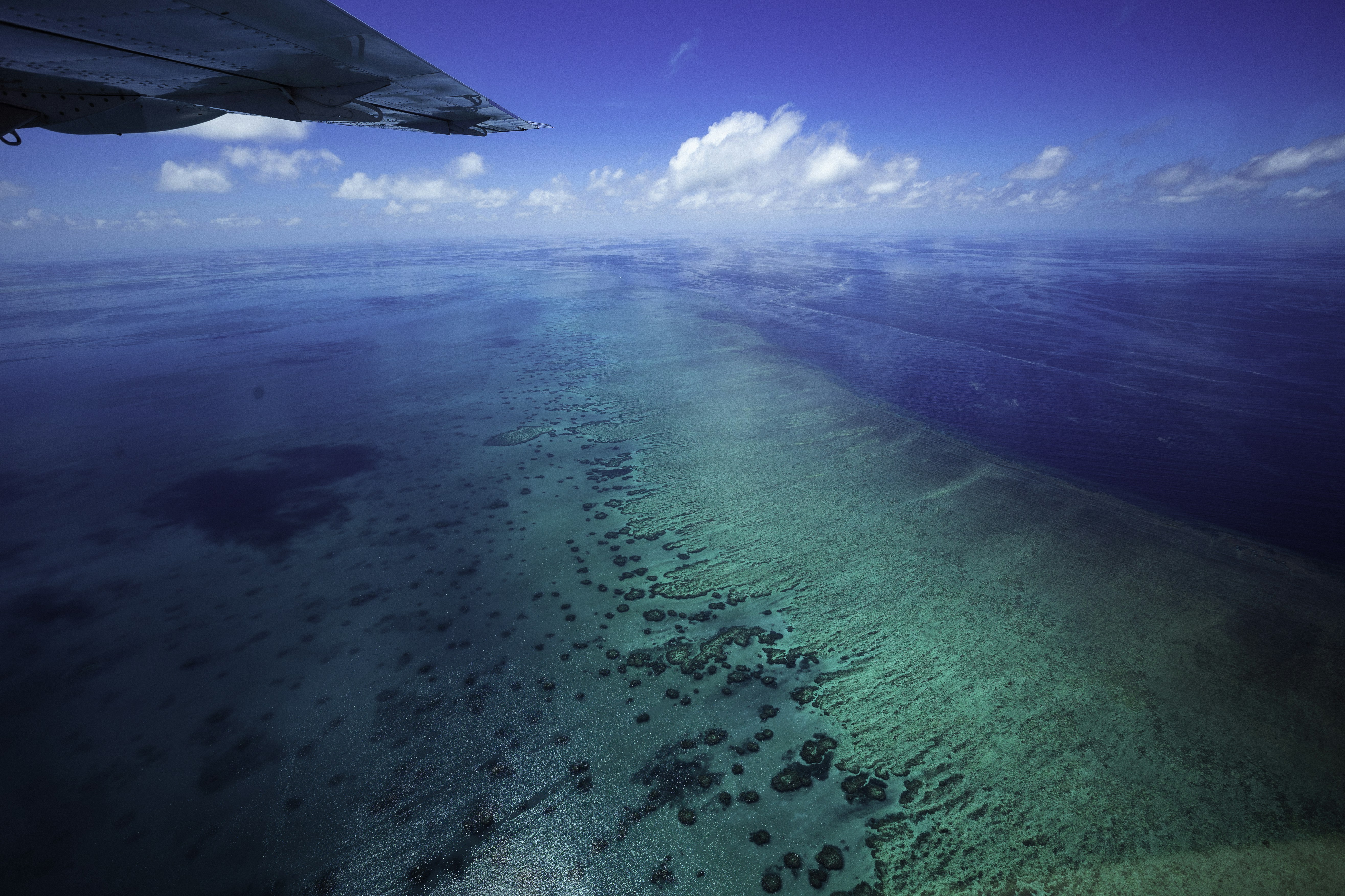 Photo by behindthetmuna