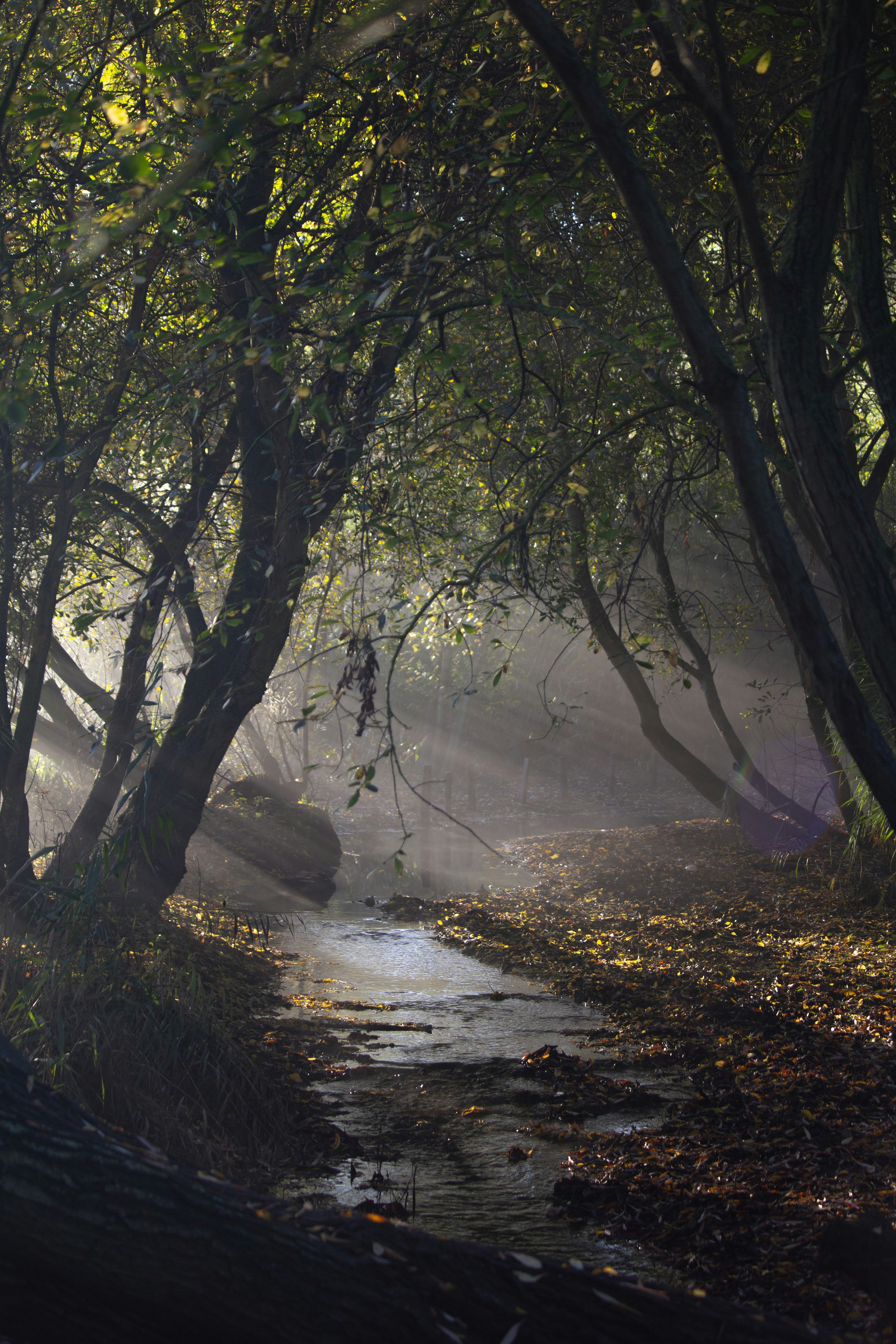 Photo by fotosbyflora