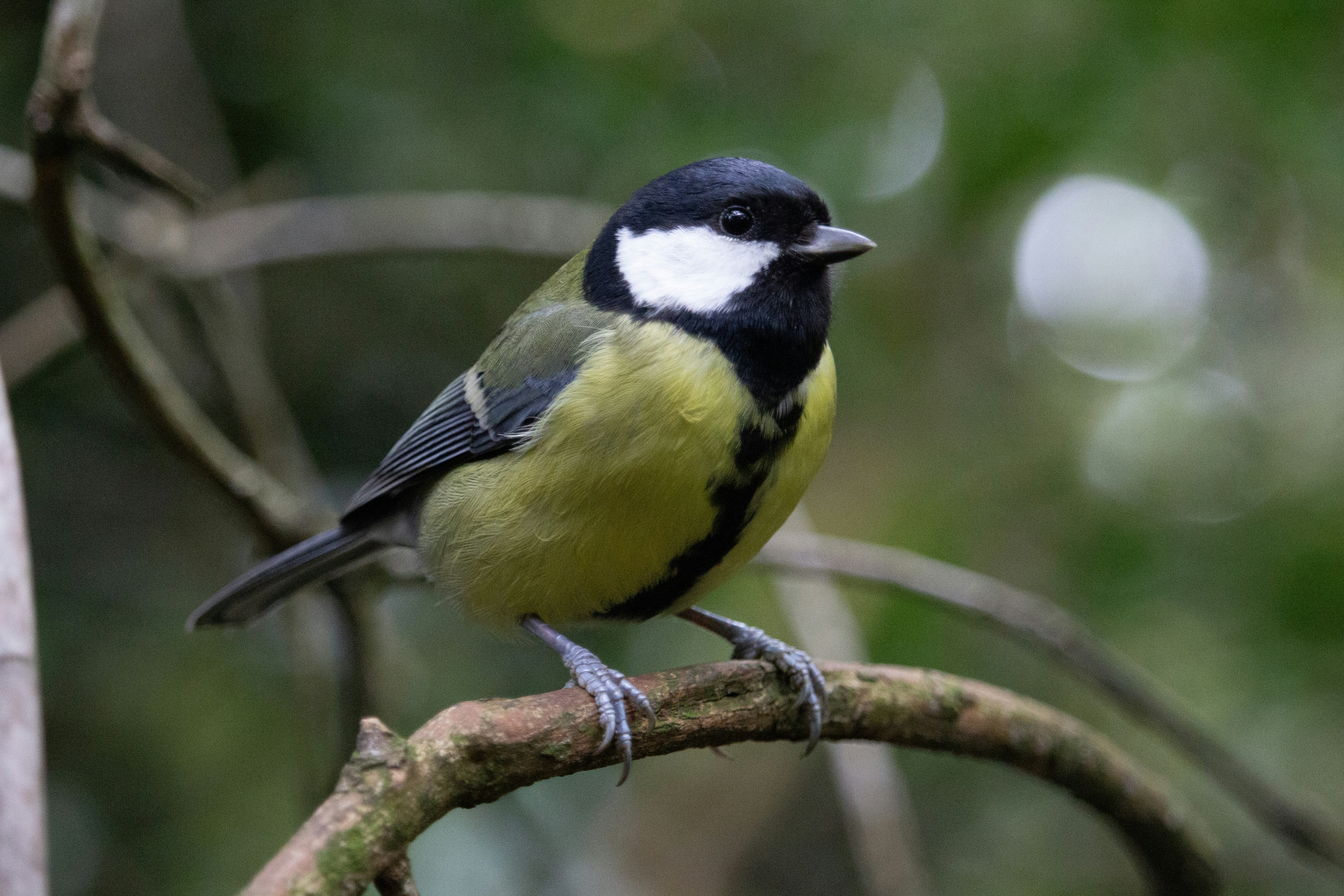 Photo by fotosbyflora