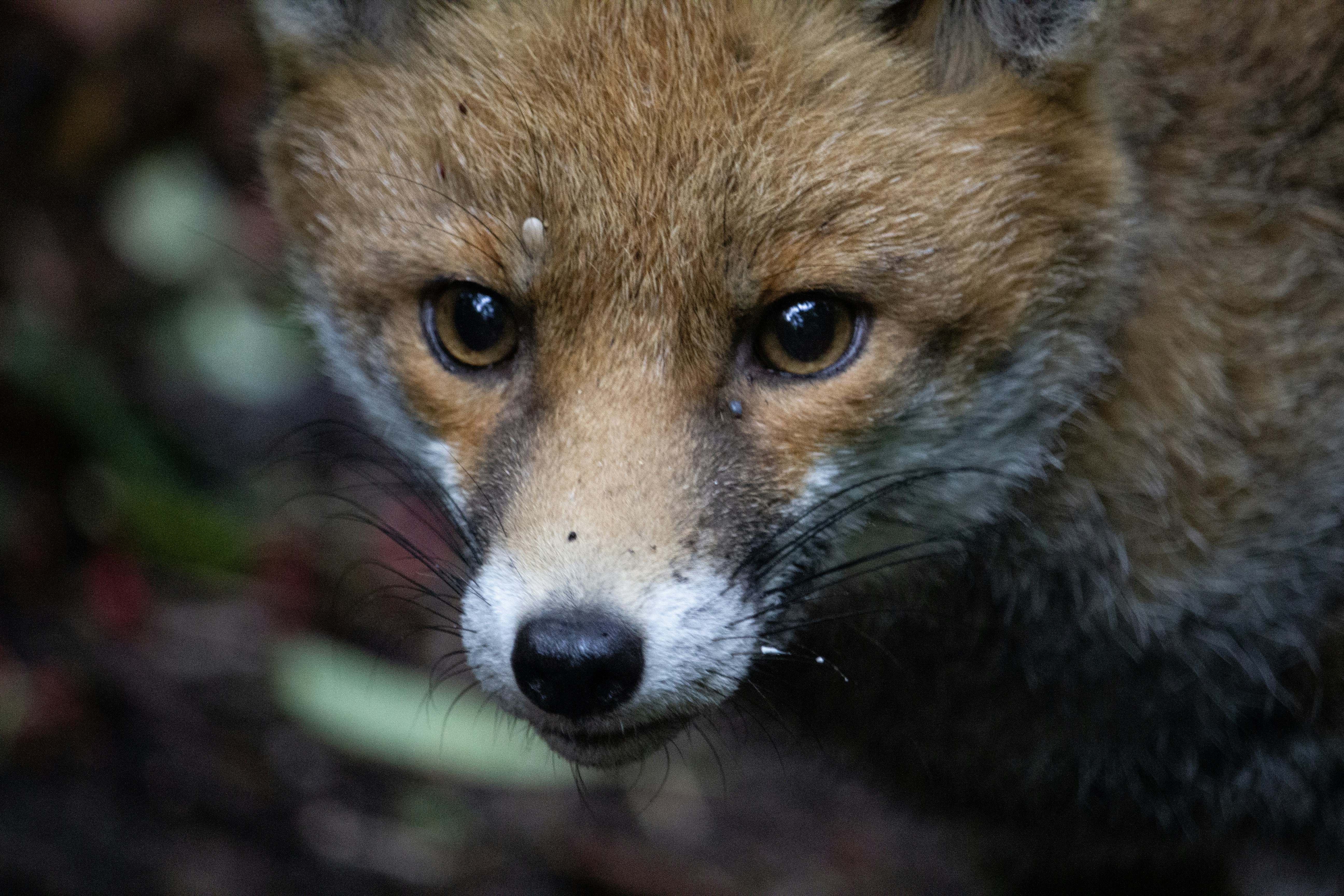 Photo by fotosbyflora