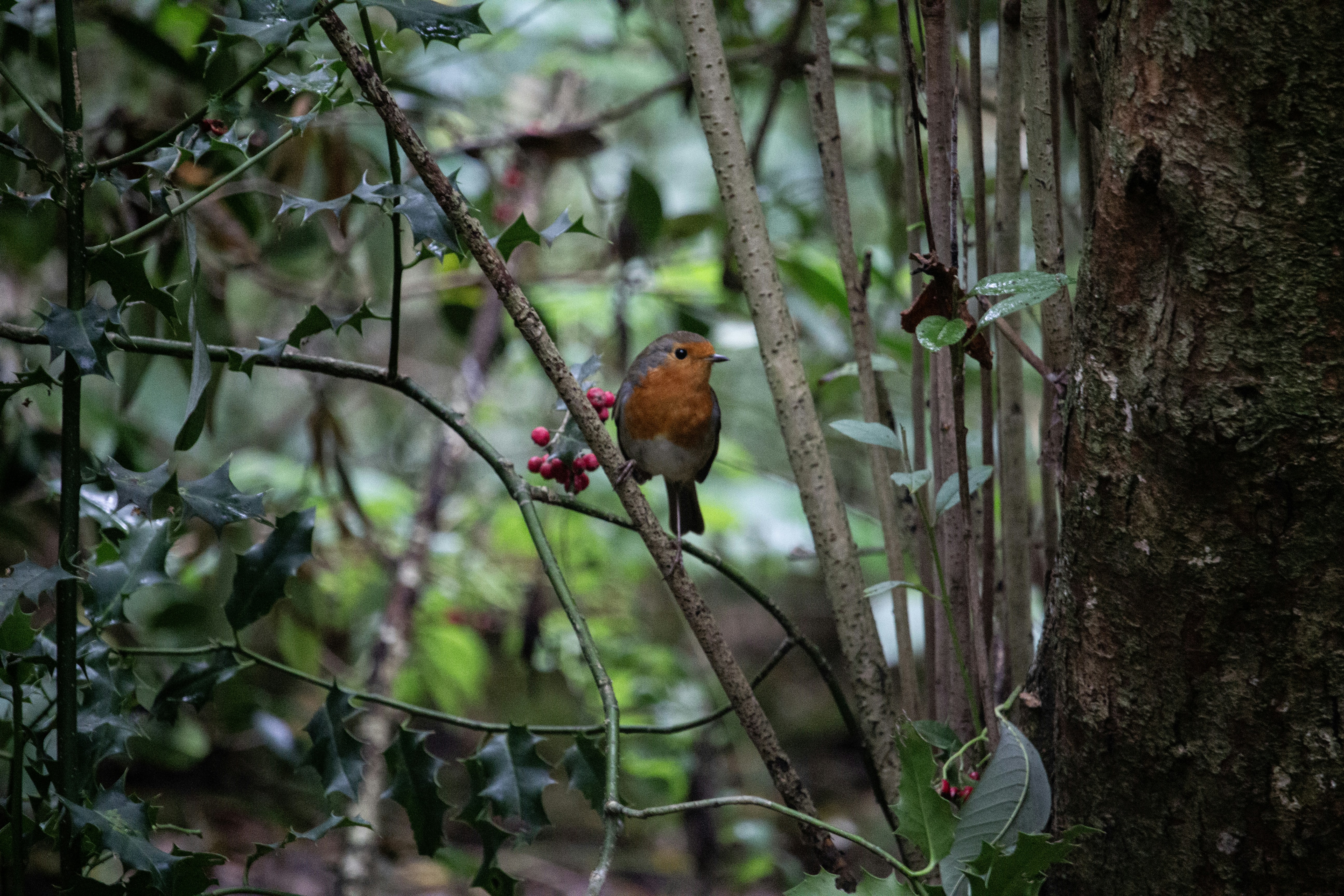 Photo by fotosbyflora