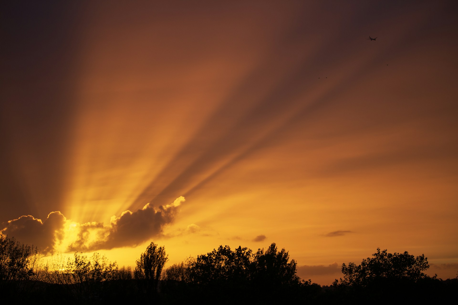 The sun is setting over the trees in the distance