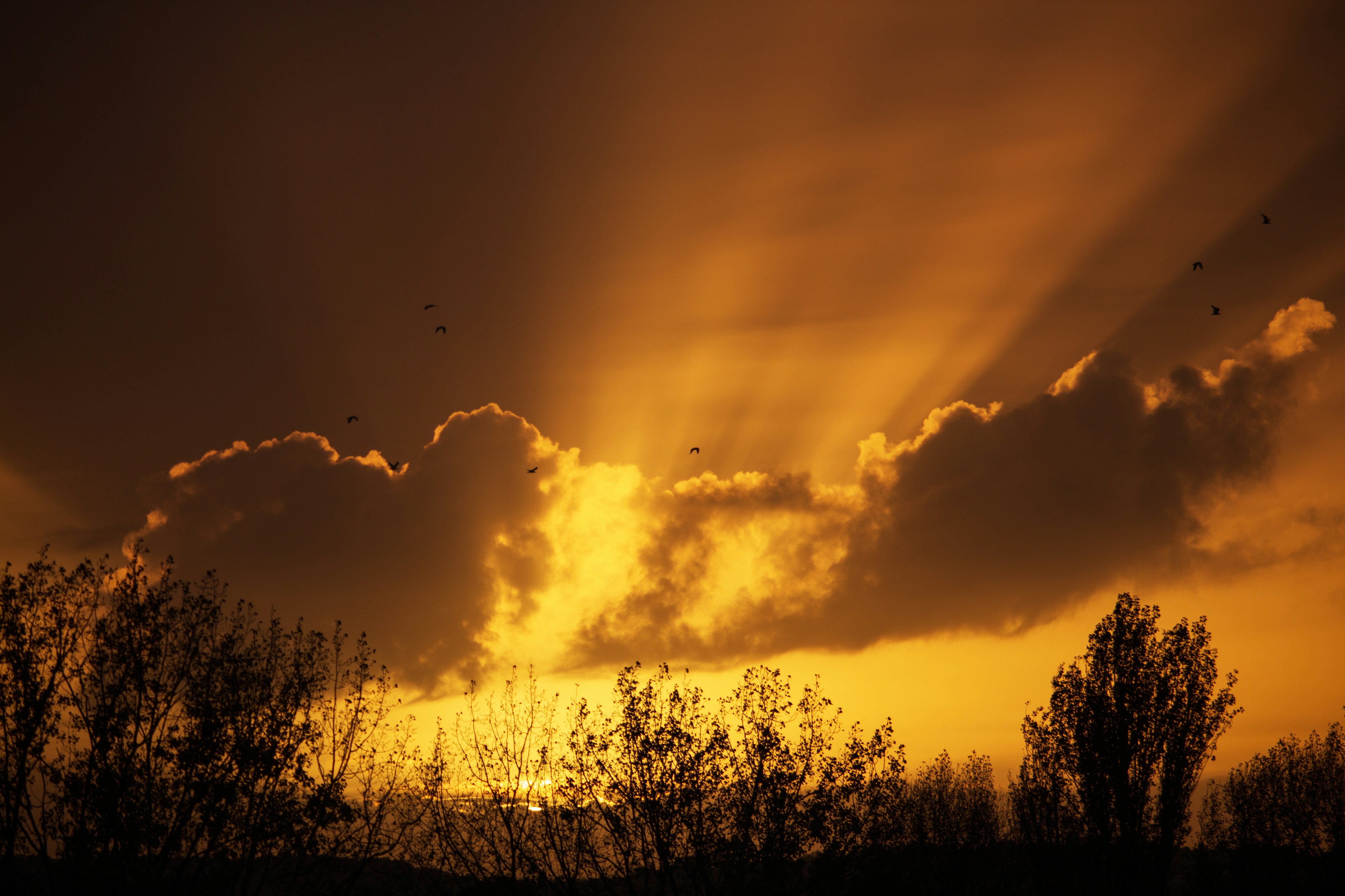 Photo by fotosbyflora